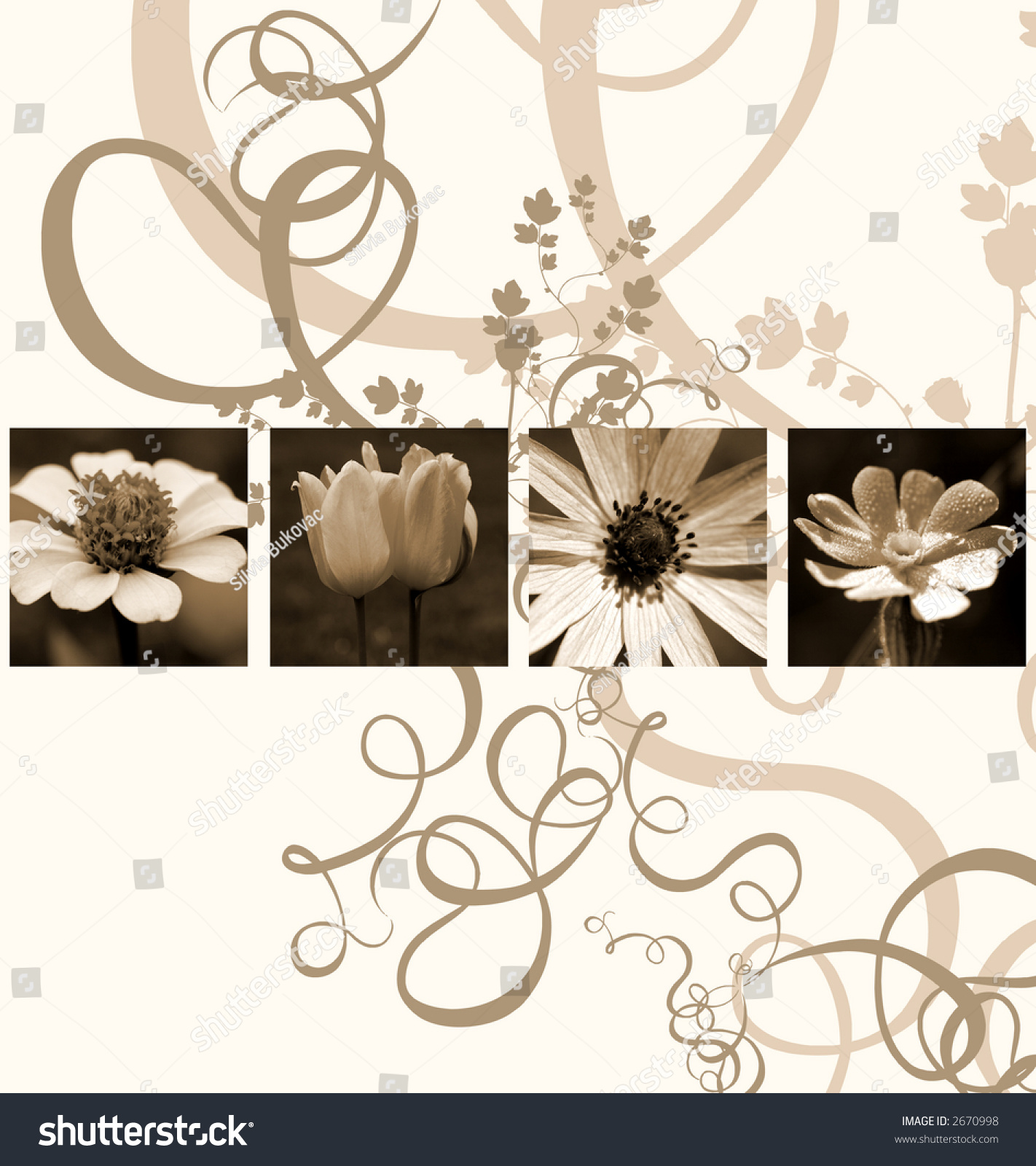 Flower Background Stock Illustration 2670998 - Shutterstock