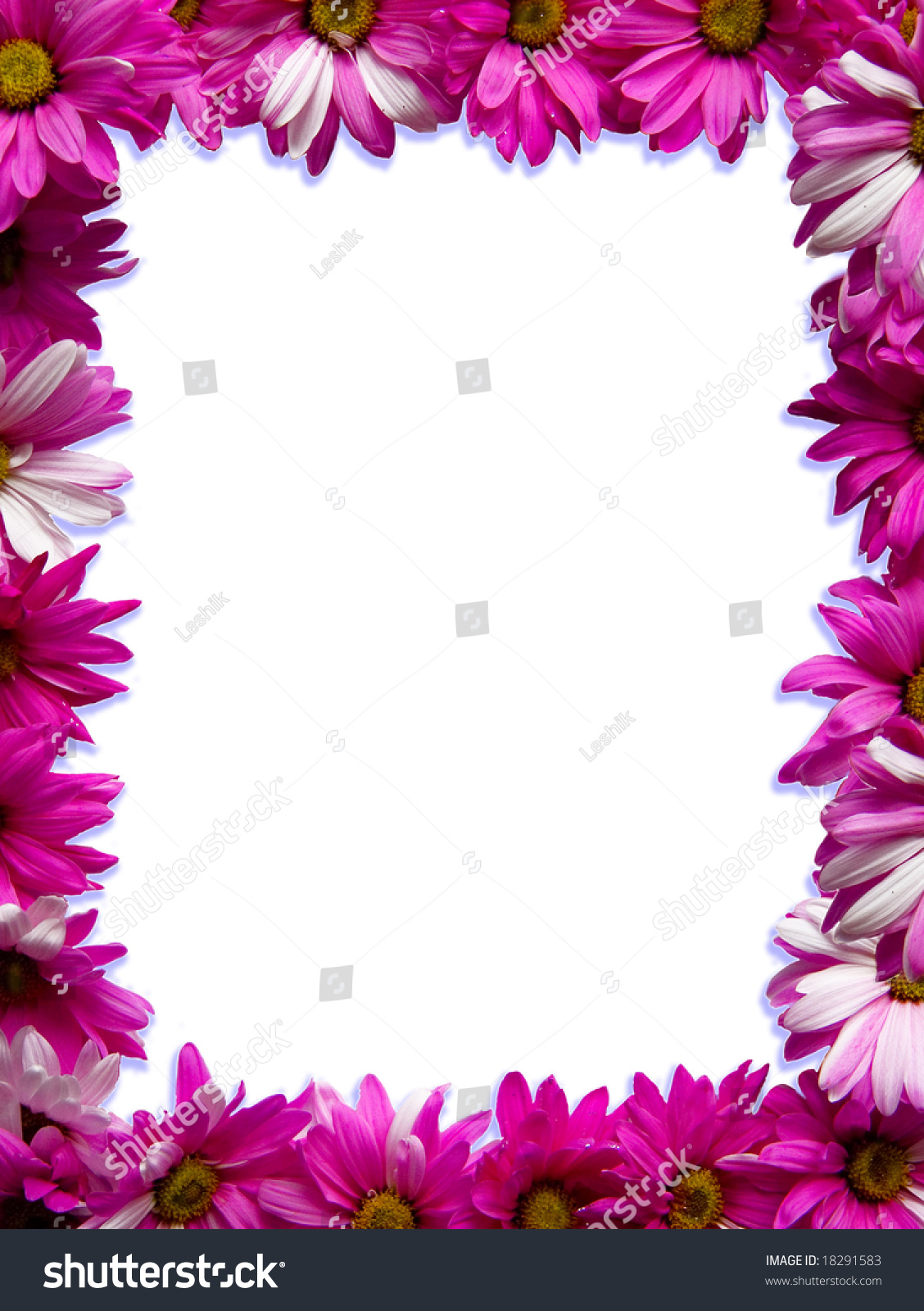 Flower Border Stock Photo 18291583 : Shutterstock