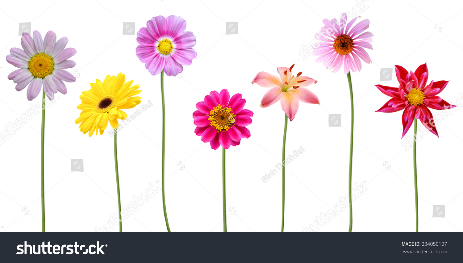 8,262 Different kinds flowers Images, Stock Photos & Vectors | Shutterstock