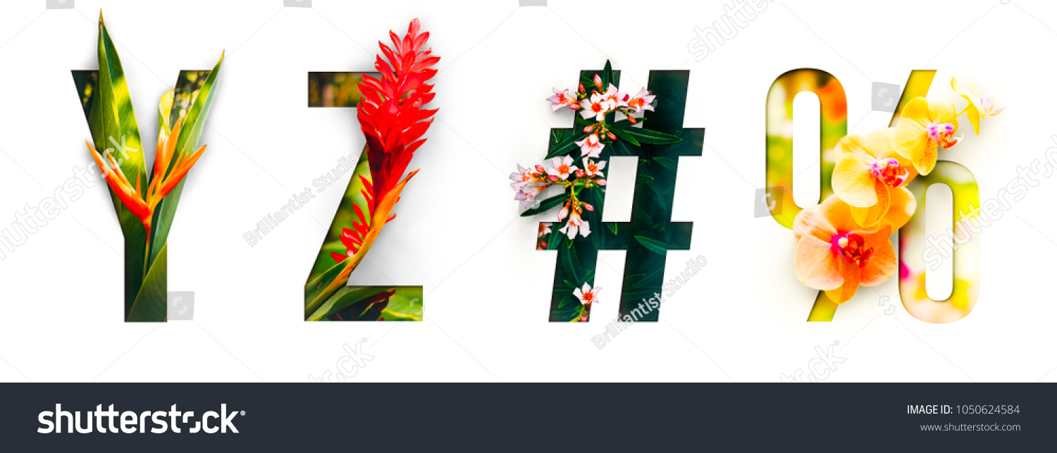 花のフォントアルファベットy Z は 文字の切り刻みの形をした本物の生きた花で作られます 春と夏のユニークなデコレーション用の鮮やかな花のフォントコレクション の写真素材 今すぐ編集