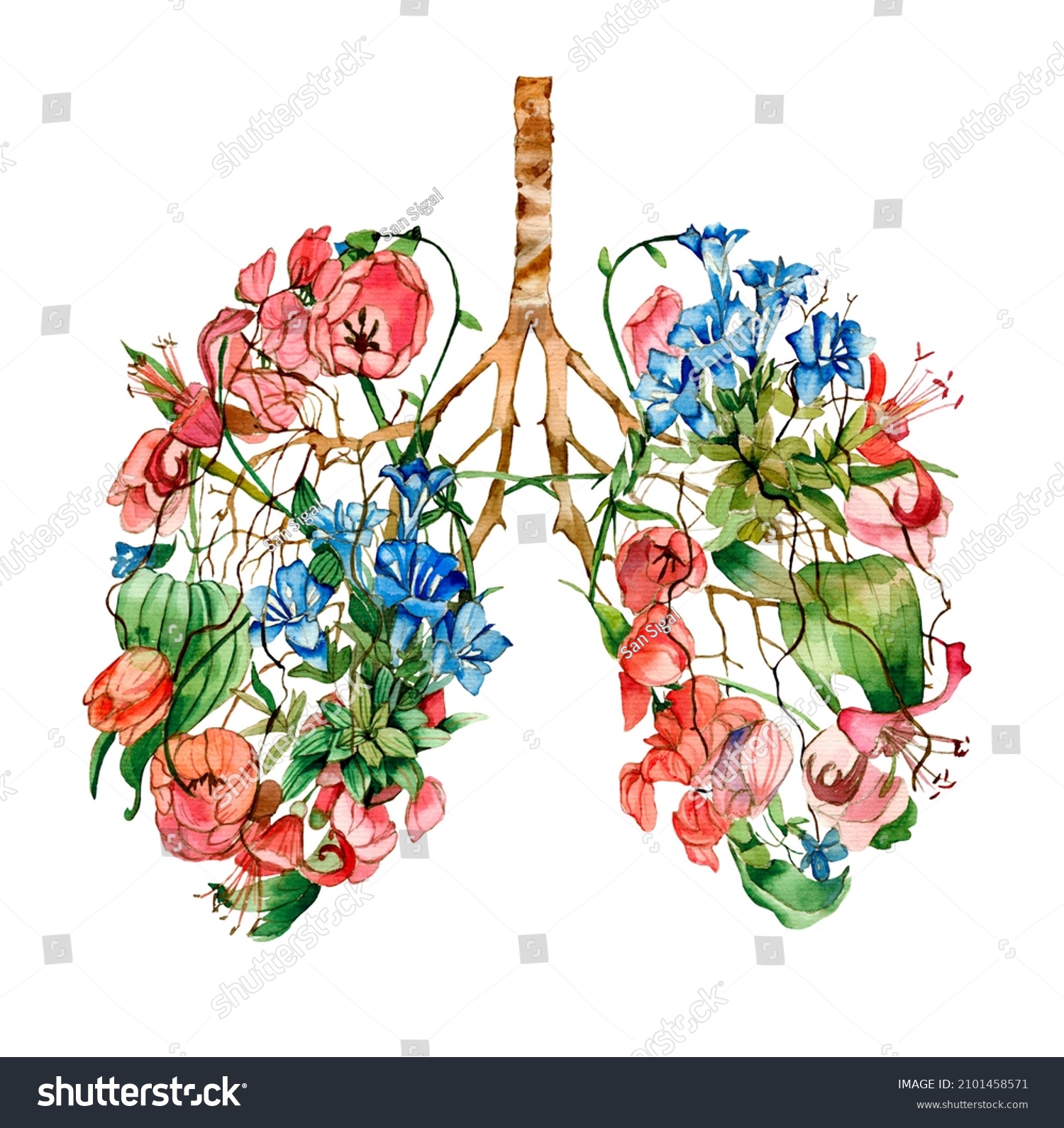 3,713 Flower lung Images, Stock Photos & Vectors Shutterstock