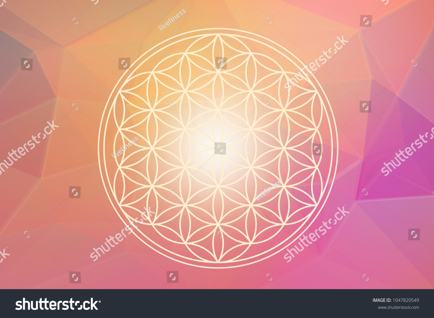 Flower Life Cosmic Symbol Power Universe Stock Illustration