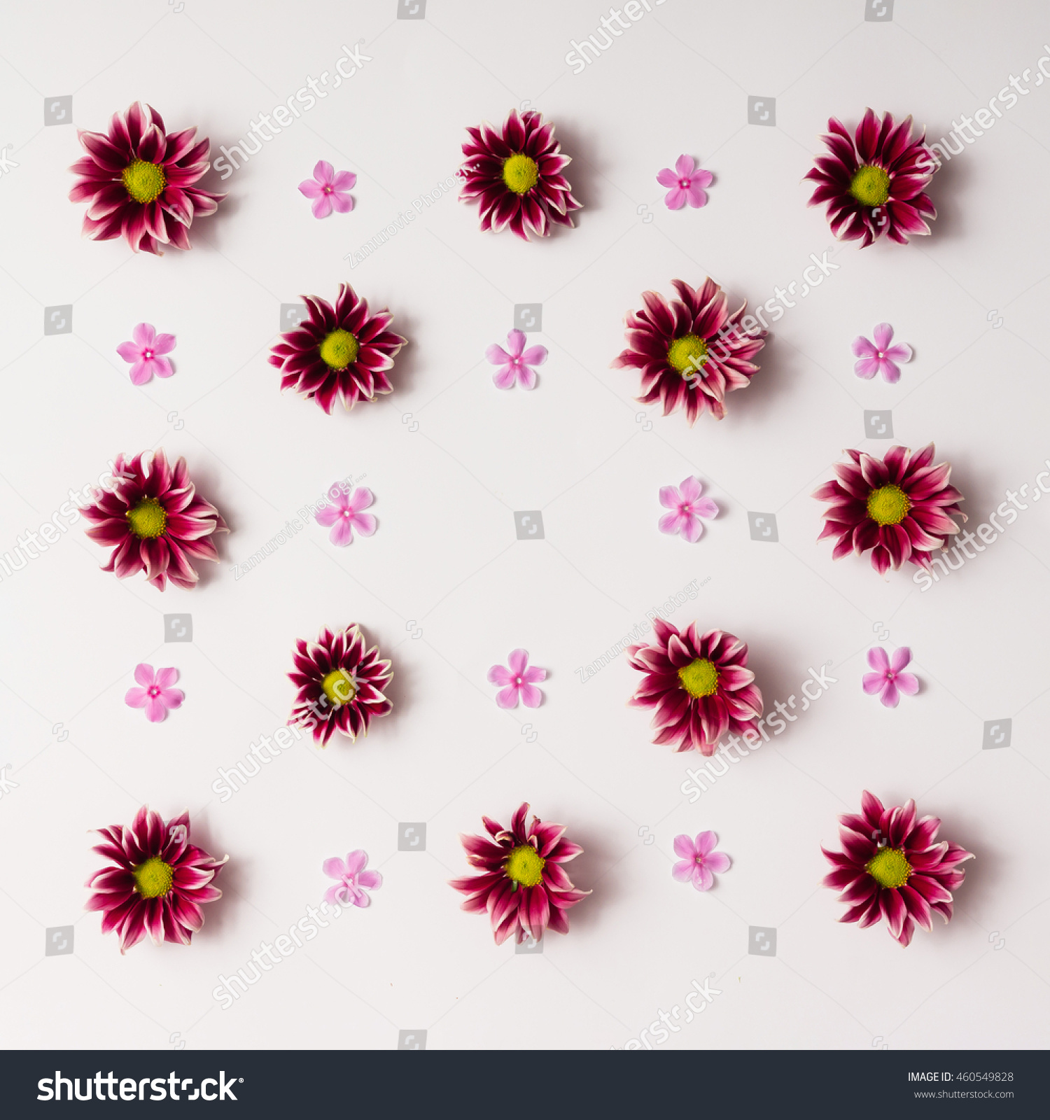 Flower Pattern Flat Lay Stock Photo 460549828 | Shutterstock