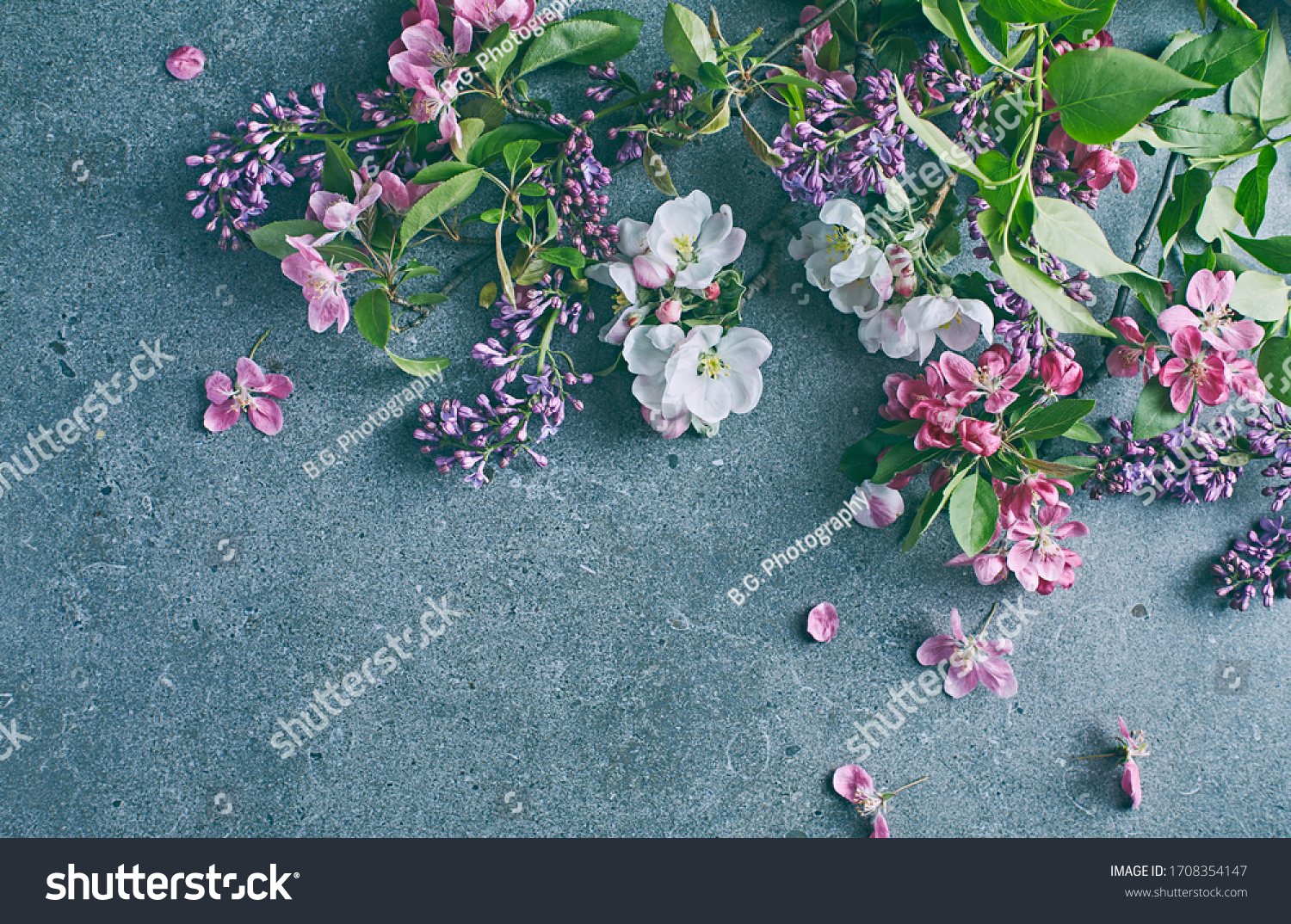  Seafoam Green Classic  Template Design Featuring Flowering Tree Branches