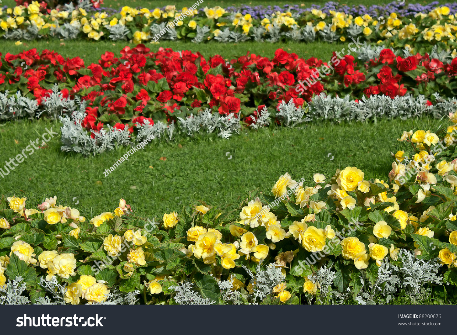 Flowers Grass Flower Bed Example Landscape Stock Photo 88200676 ...