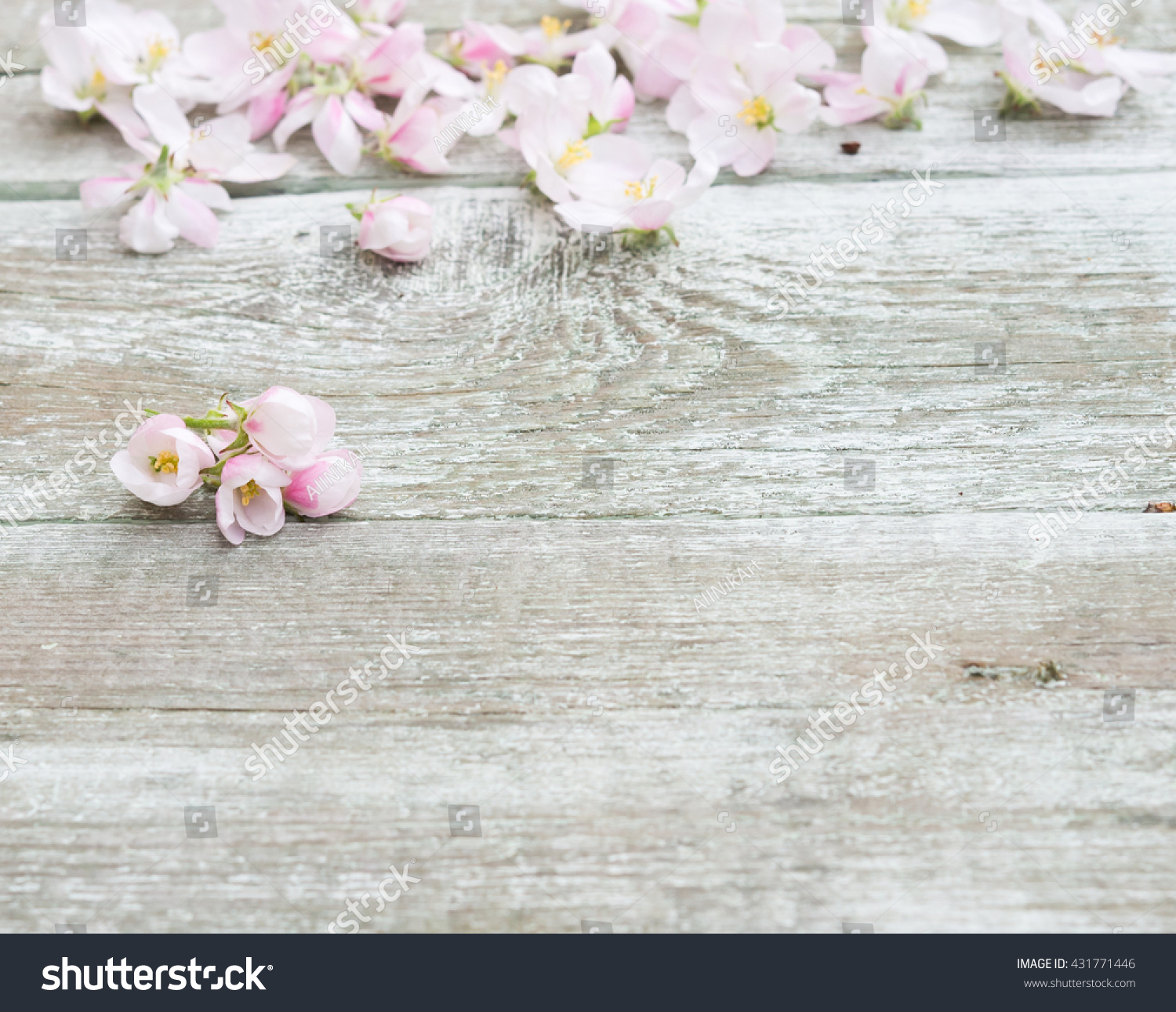 Flowers Apple Tree Blossoms On Rustic Stock Photo Edit Now 431771446