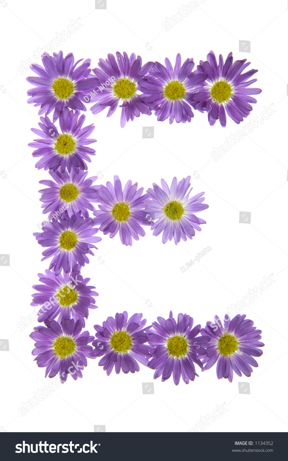 Flowers Arranged Into The Shape Of The Letter E On A Pure White