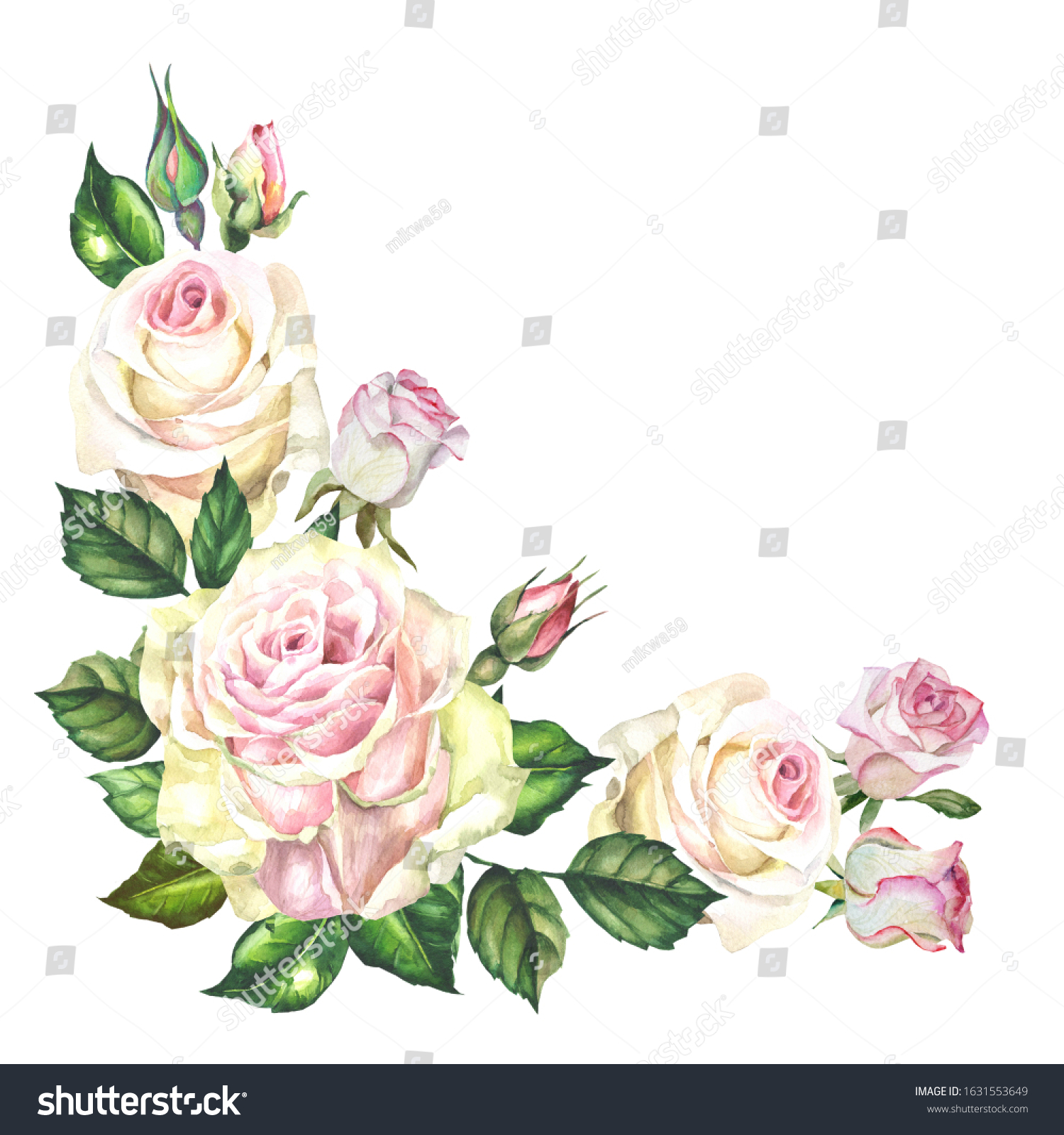 Flowers Corner Watercolor Roses Stock Illustration 1631553649 ...