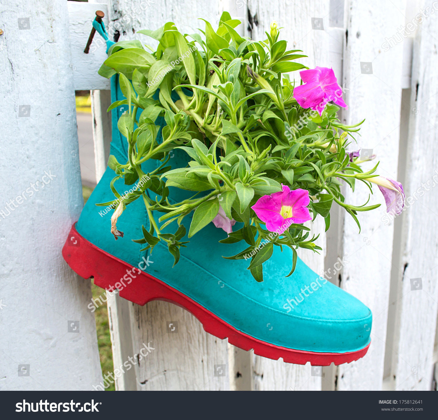 flowers in boots