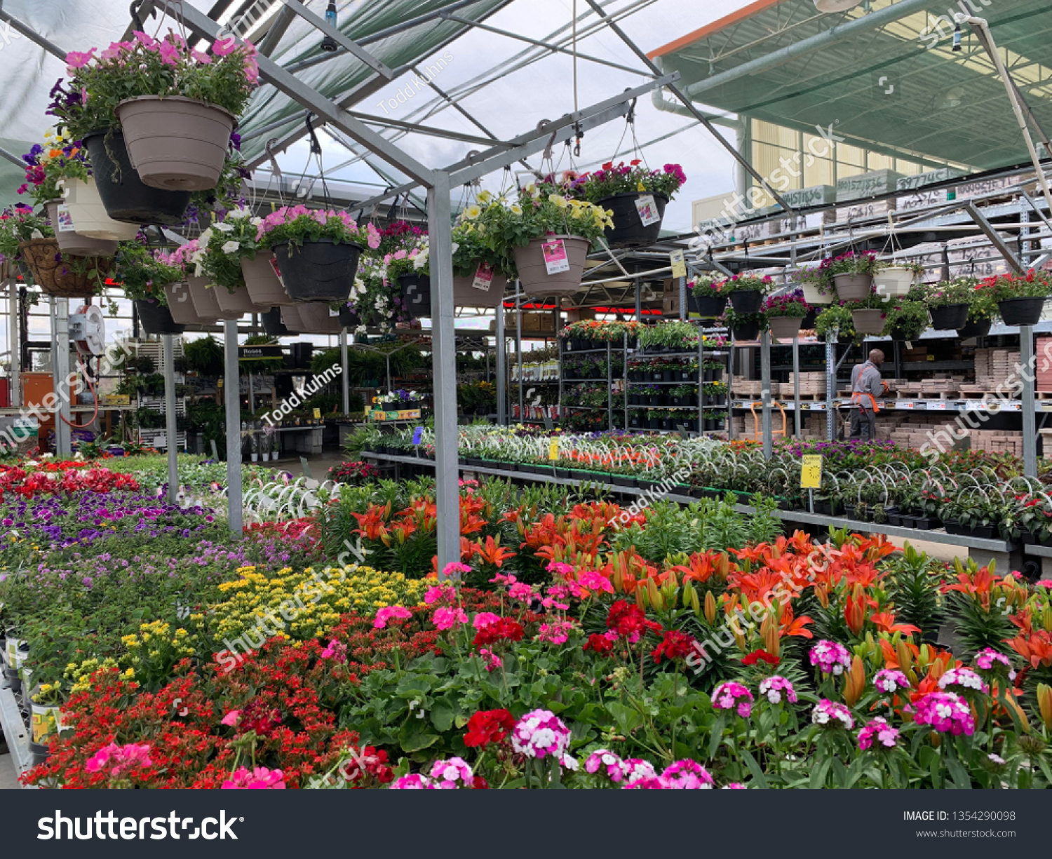 Flowers Garden Center Home Depot Spartanburg Stock Photo Edit Now