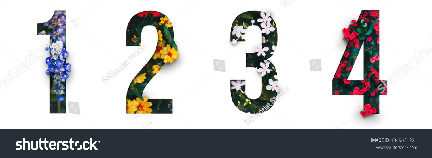 Flowers Number 1 2 3 4 Stock Photo (Edit Now) 1049631221