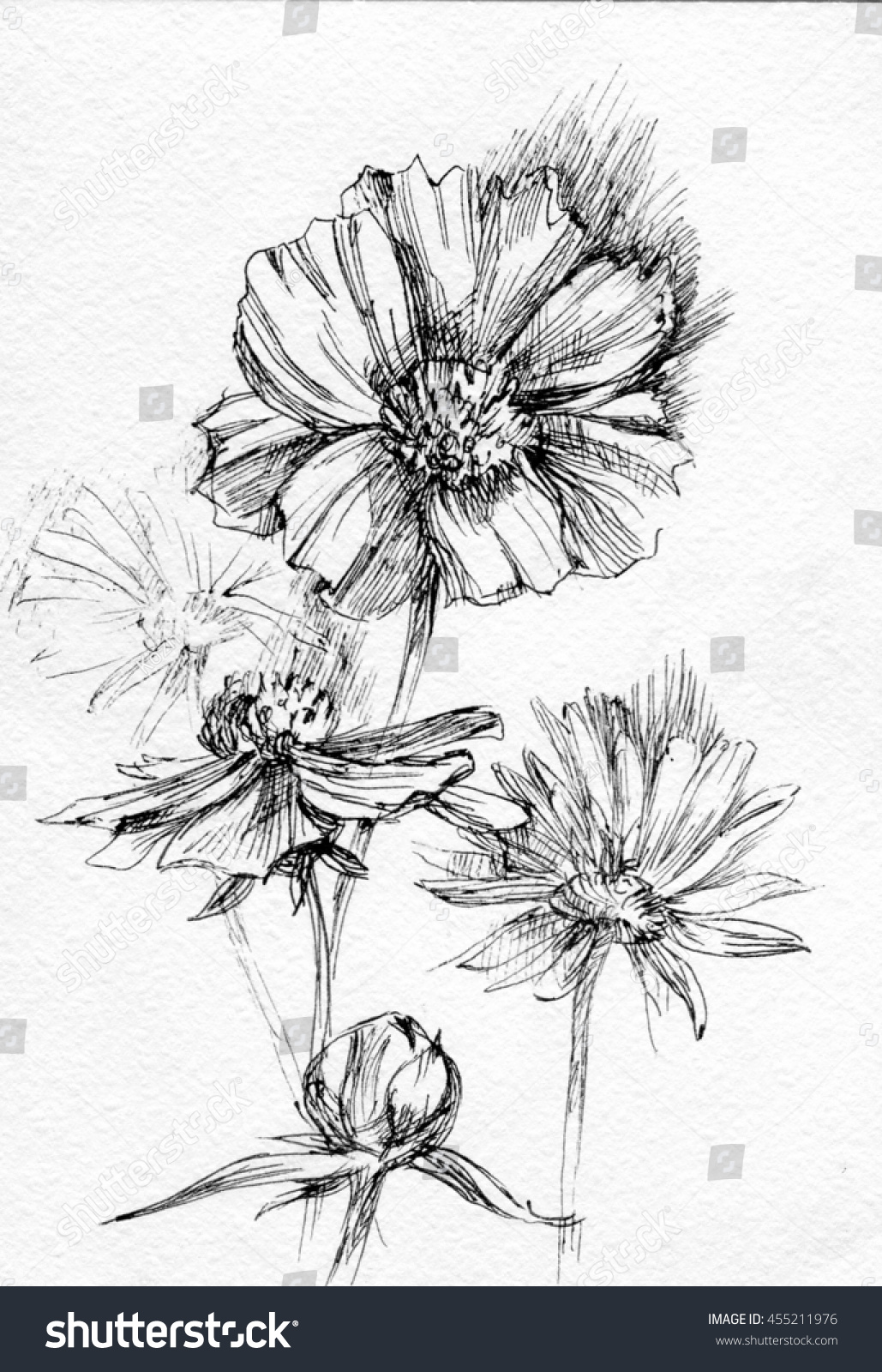 Flowers Sketch Stock Illustration 455211976