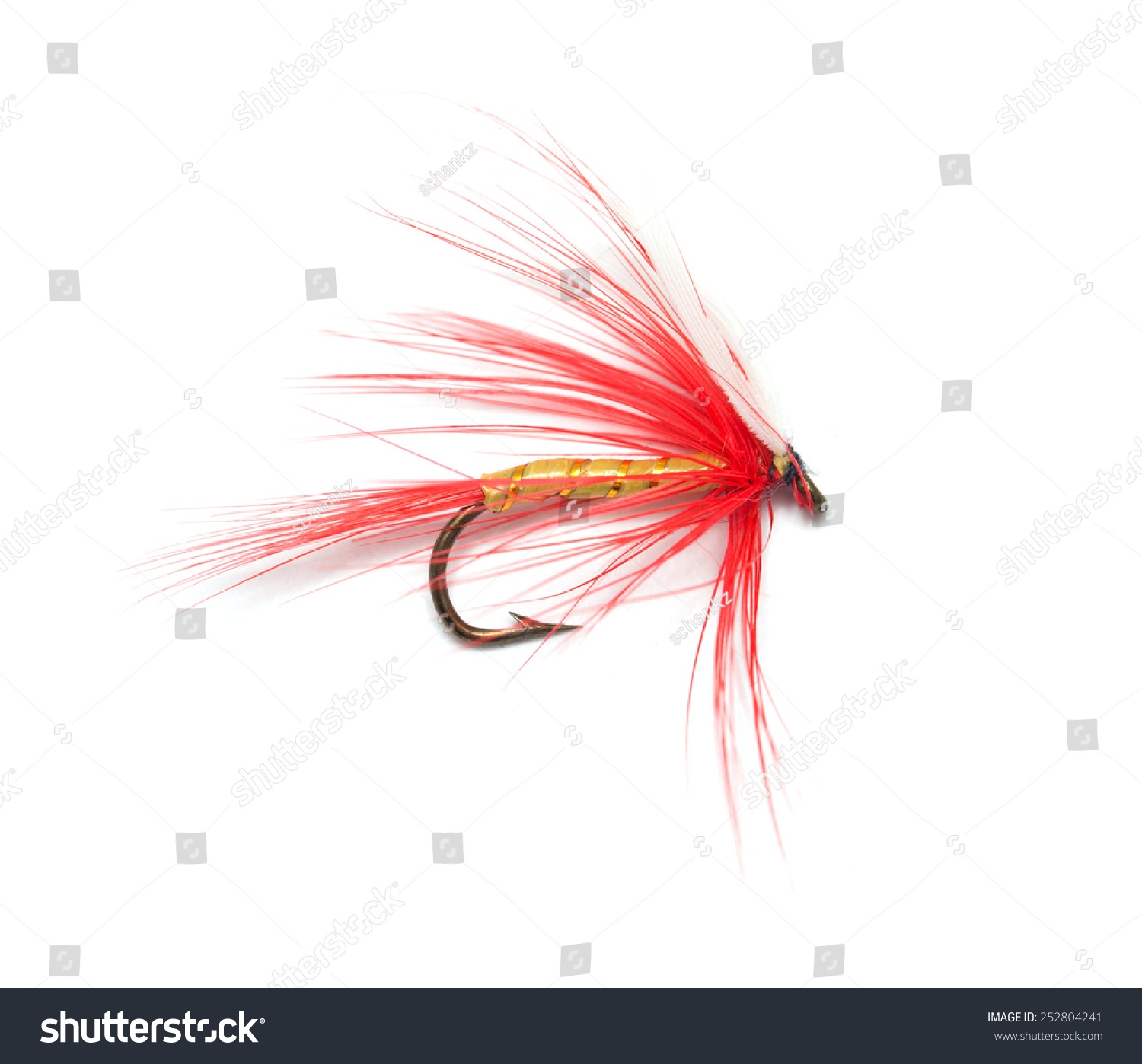 Fly Fishing On White Background Stock Photo (Edit Now) 252804241