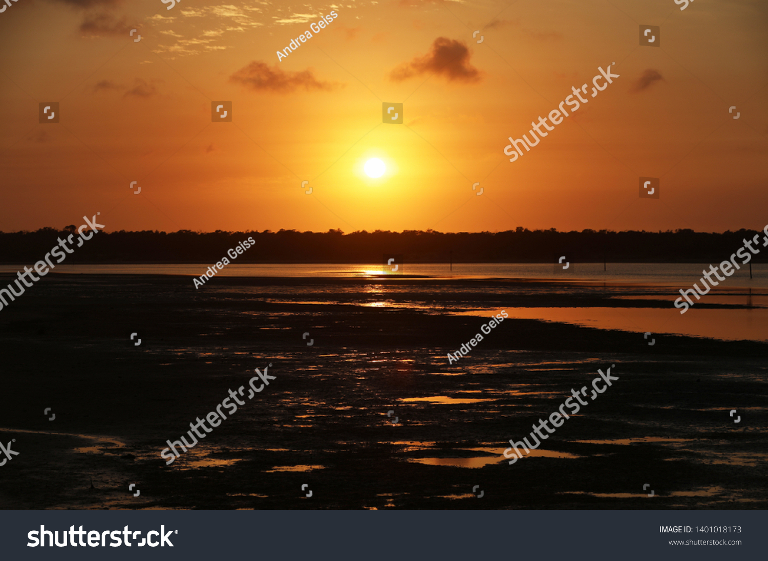 Flying Bird Sunset Over Water Australia Stock Photo (Edit Now ...