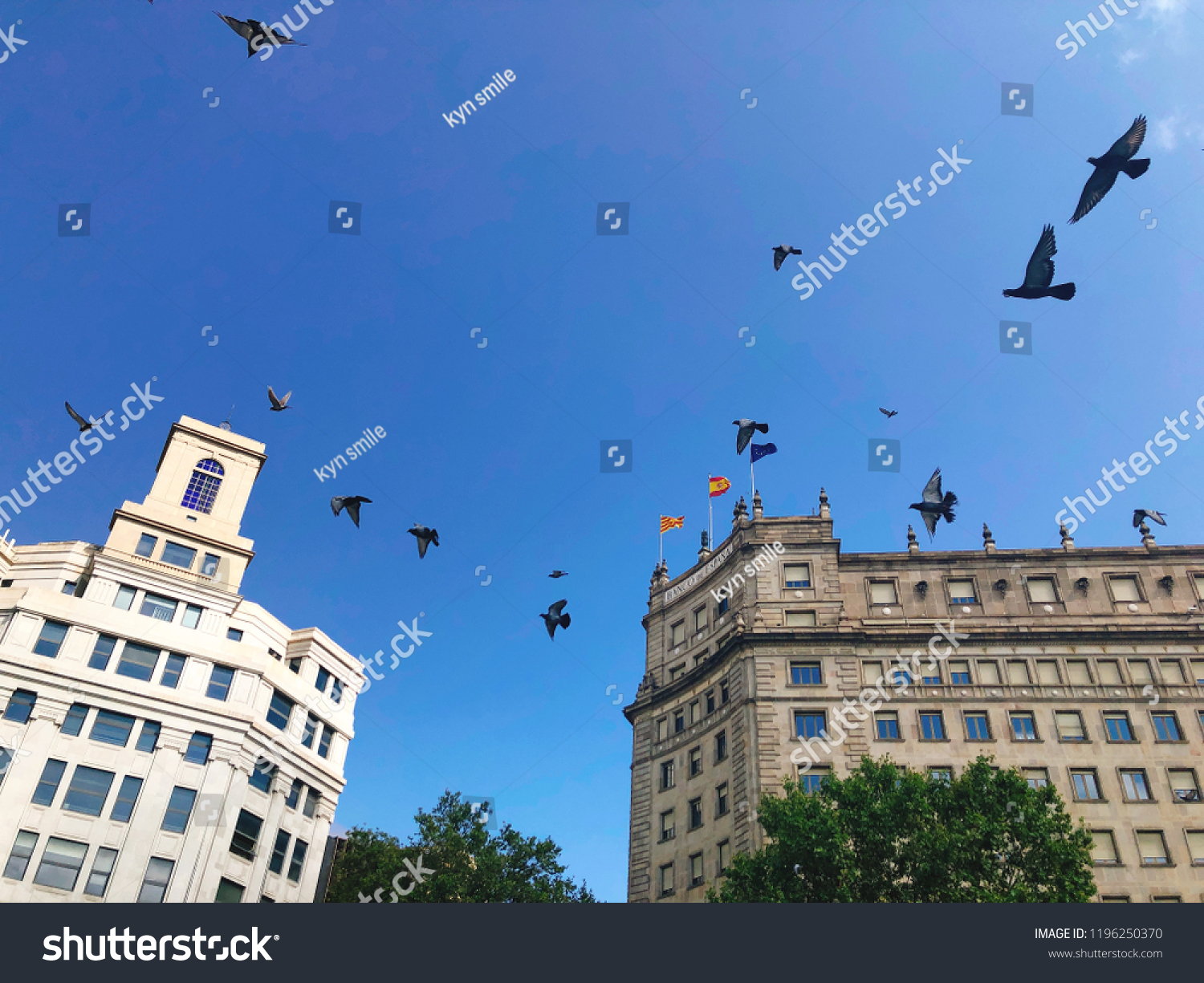 Flying Birds Sky Stock Photo 1196250370 | Shutterstock