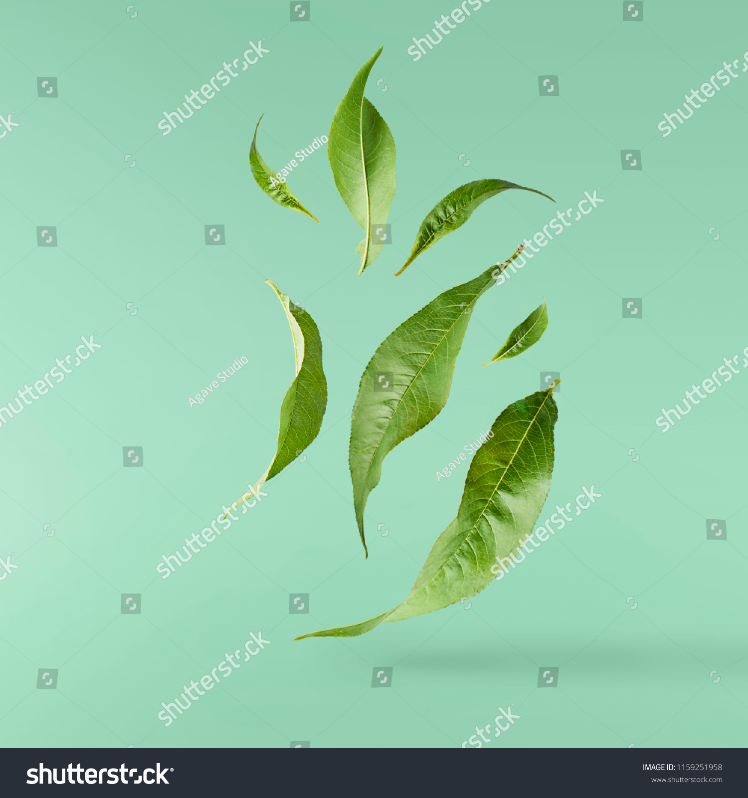 Terbang Daun Teh Hijau Terpencil Pada Foto Stok 1159251958 Shutterstock 5245