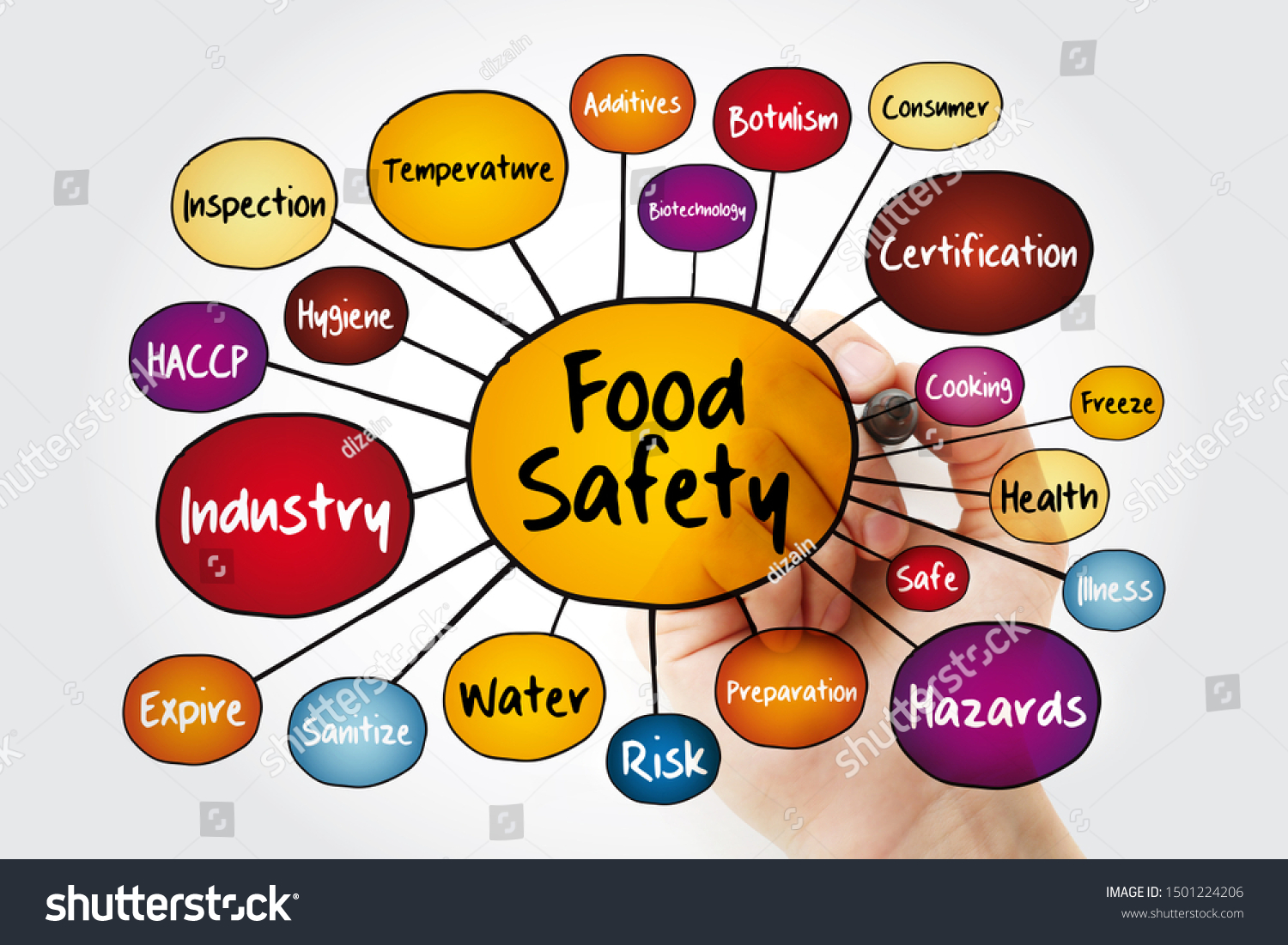 Food Safety Mind Map Flowchart Marker Stockfoto 1501224206 Shutterstock