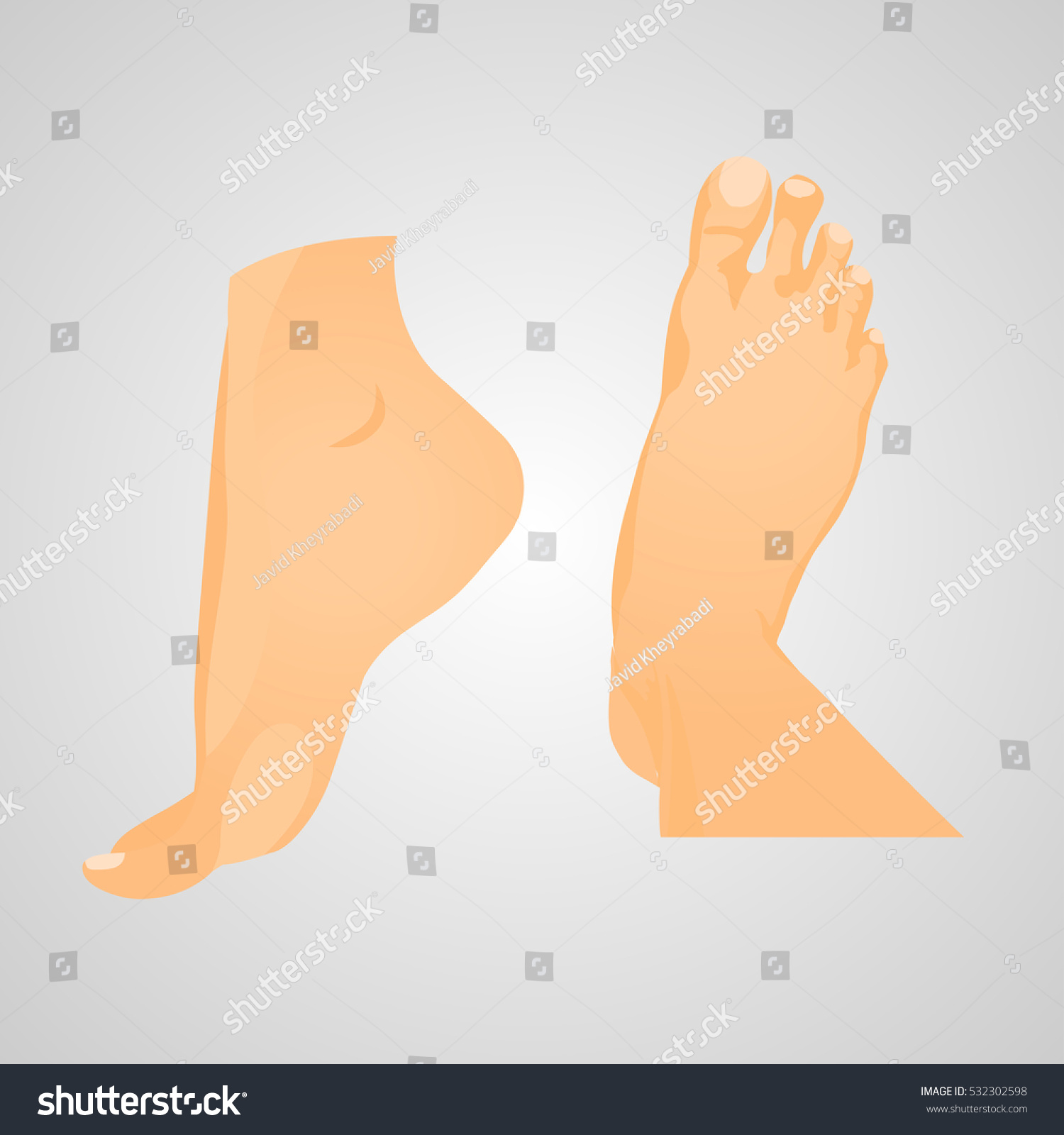 Foot Stock Illustration 532302598 - Shutterstock