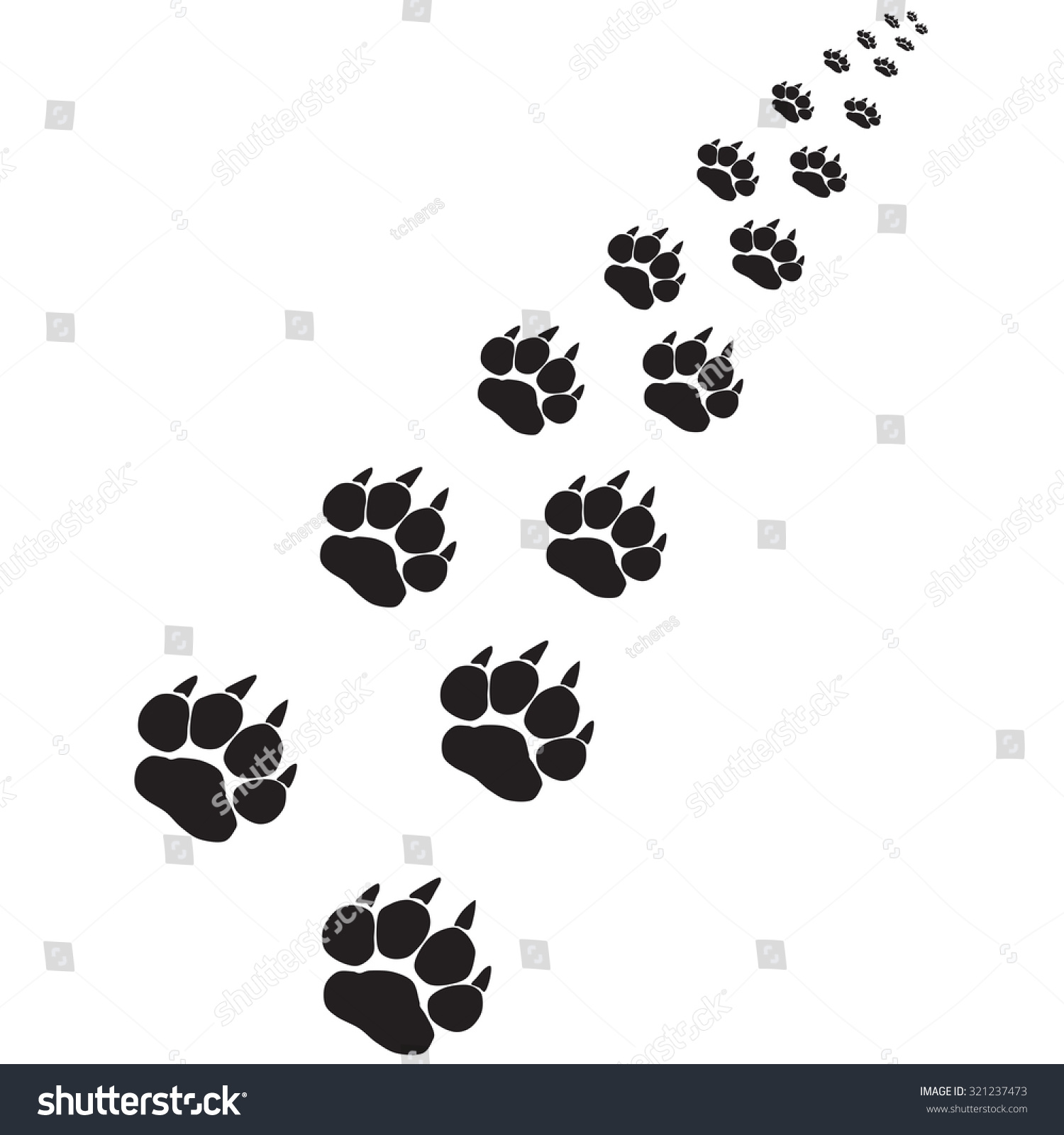 Footprints Of A Big Cat Stock Photo 321237473 : Shutterstock