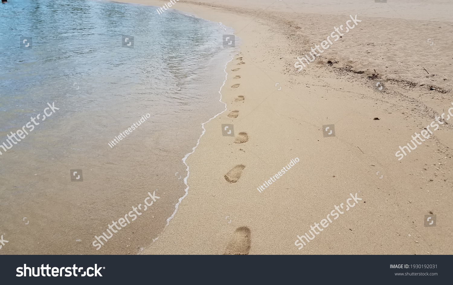 Footprints On Beach Sand Stock Photo Shutterstock