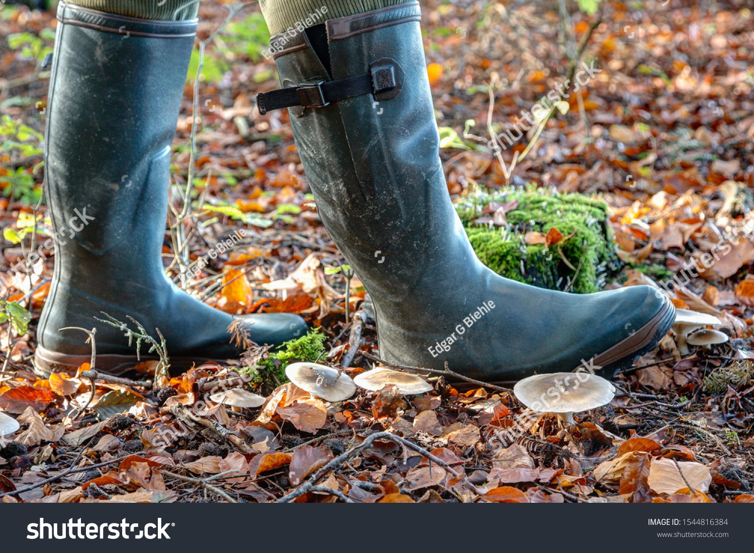 hunter wellies out of stock