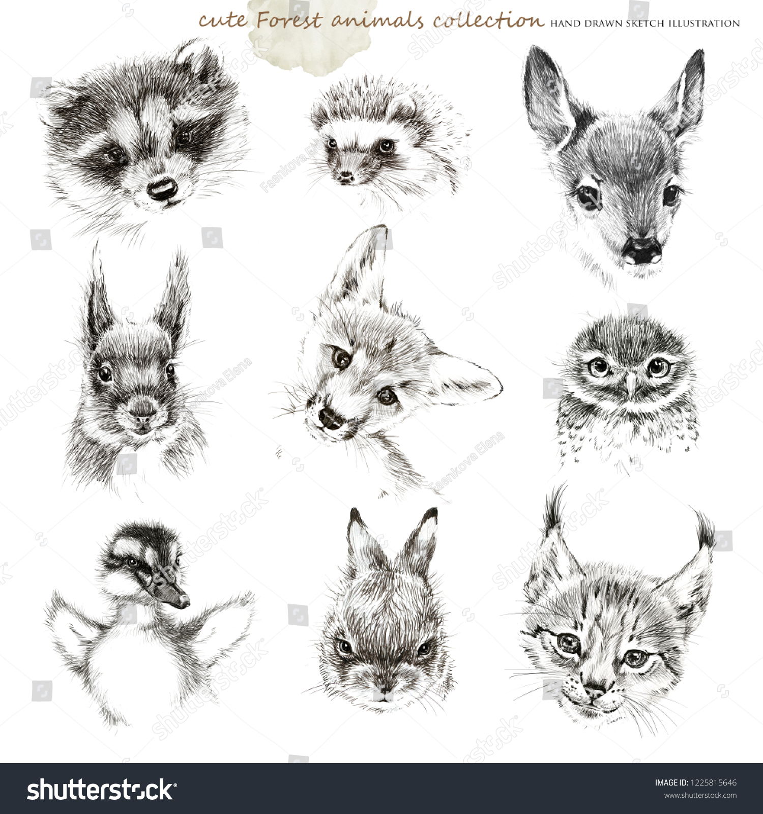 Forest Animals Cub Hand Drawing Sketch Stock Illustration