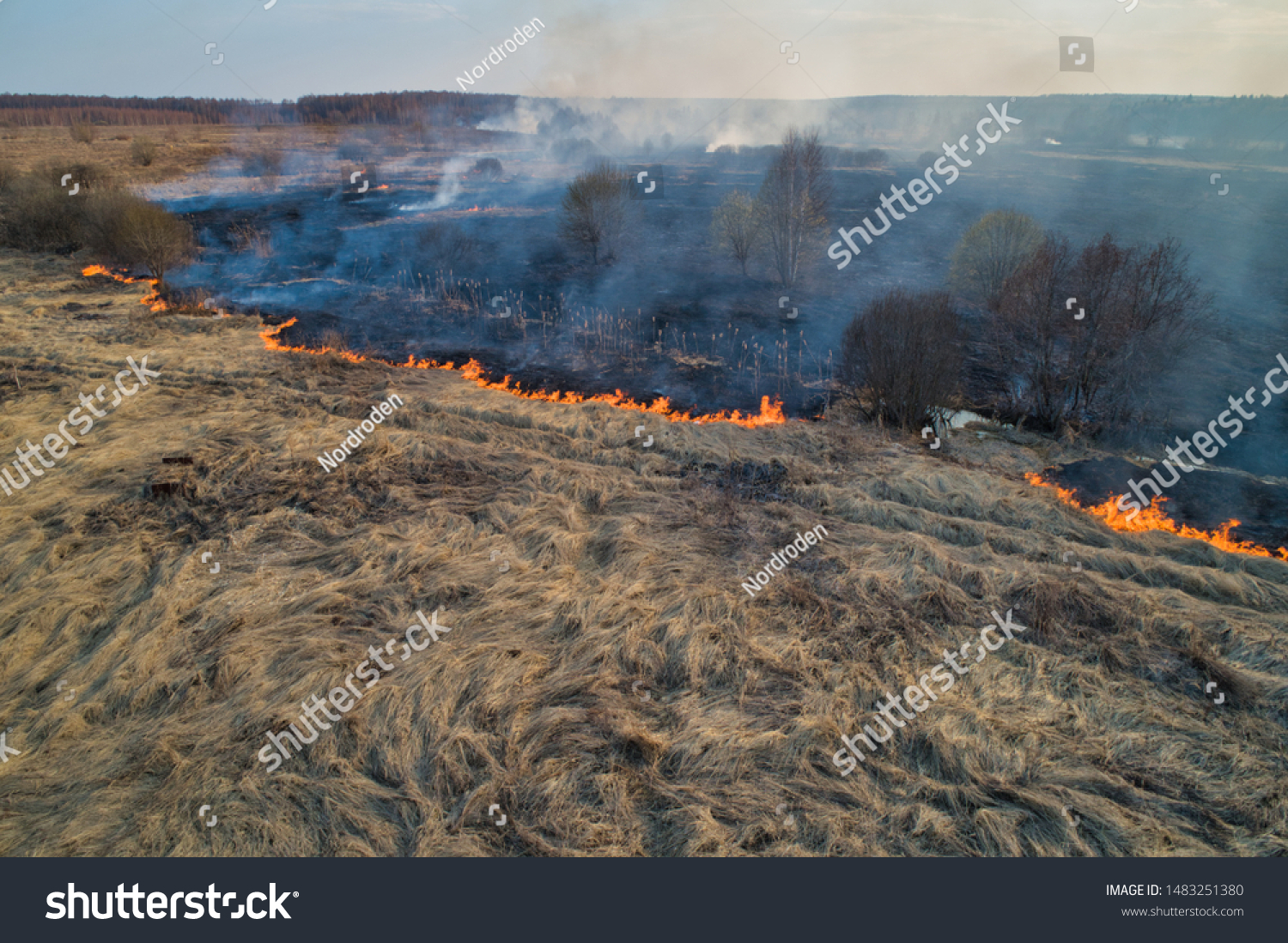 森林火災 川の近くの野原で枯れた草 上空表示 自然災害 放火 の写真素材 今すぐ編集