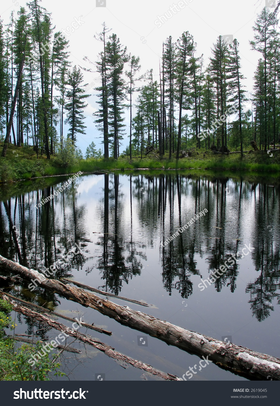 Forest Lake, Siberia, Russia Stock Photo 2619045 : Shutterstock