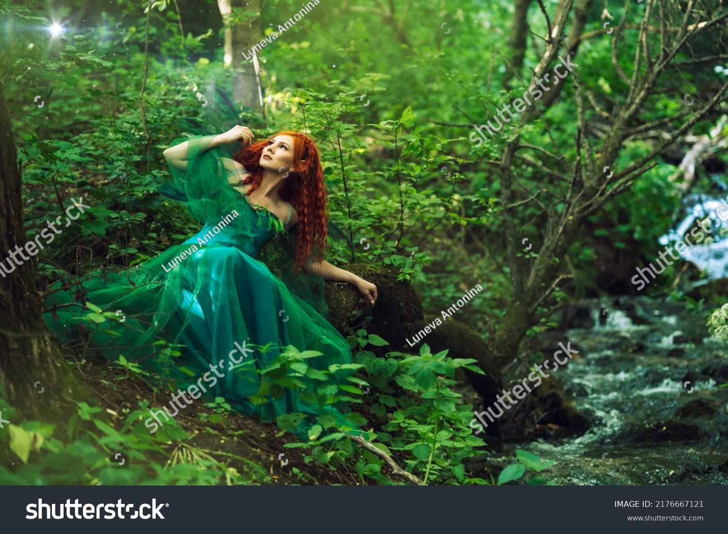 18893 Imágenes De Forest Nymph Imágenes Fotos Y Vectores De Stock Shutterstock