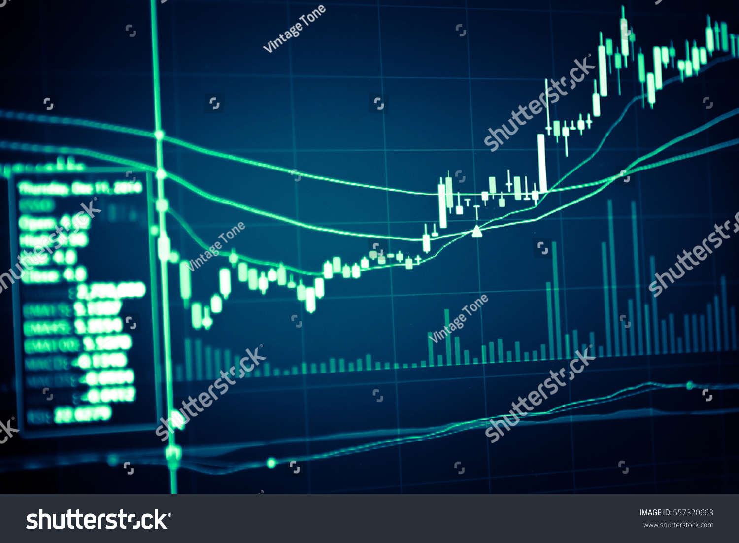 Forex World Exchange Rate - 