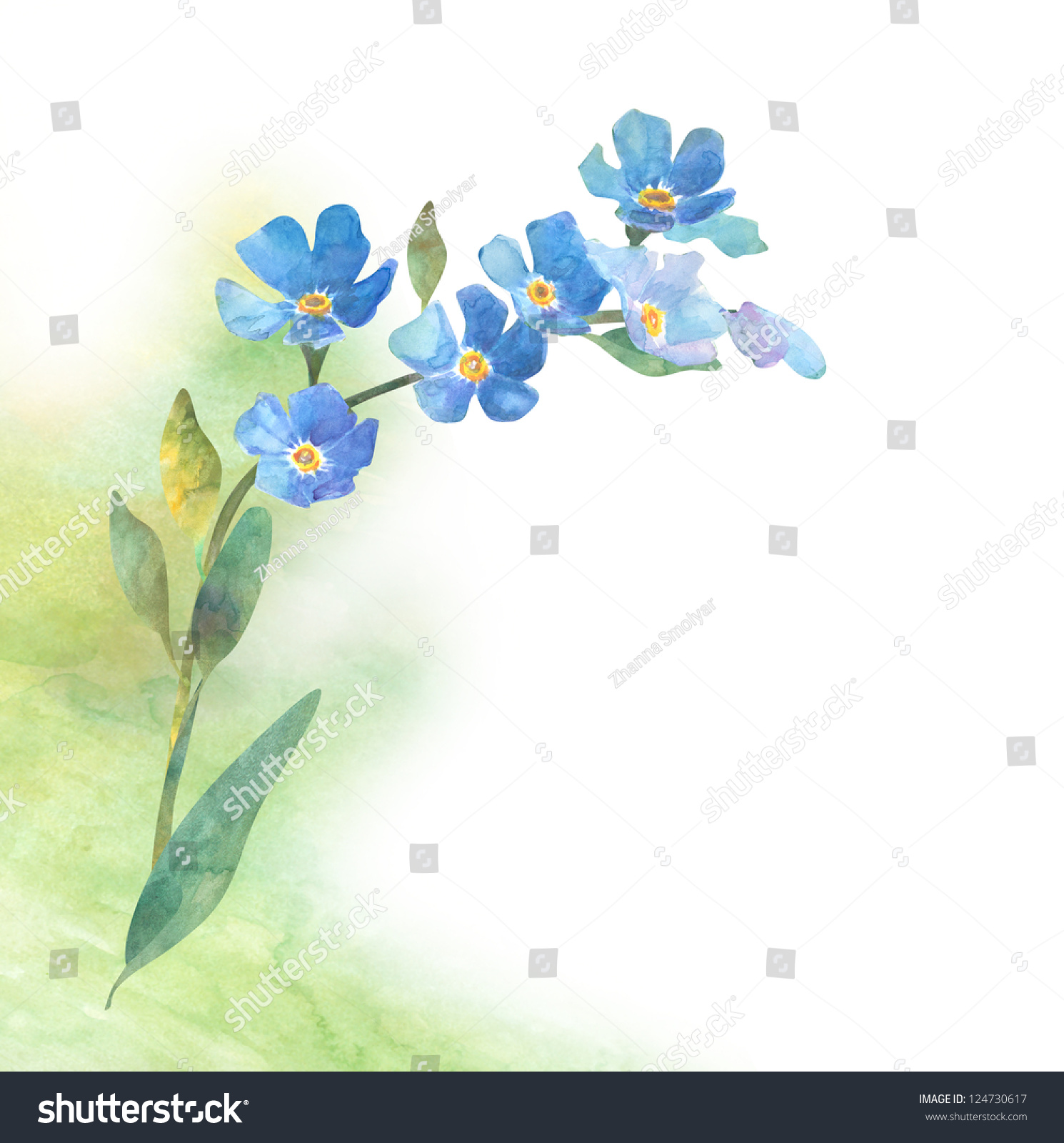 Forget Me Not Flower Stock Illustration 124730617 - Shutterstock