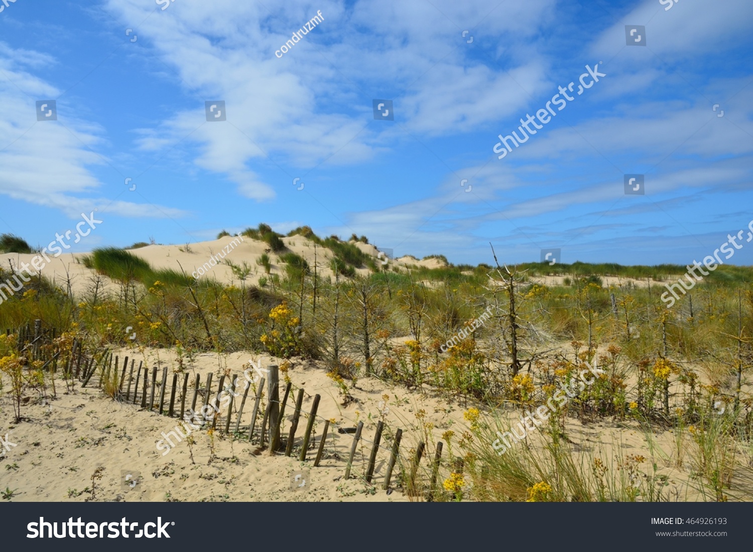 Formby Beach England Stock Photo (Edit Now) 464926193