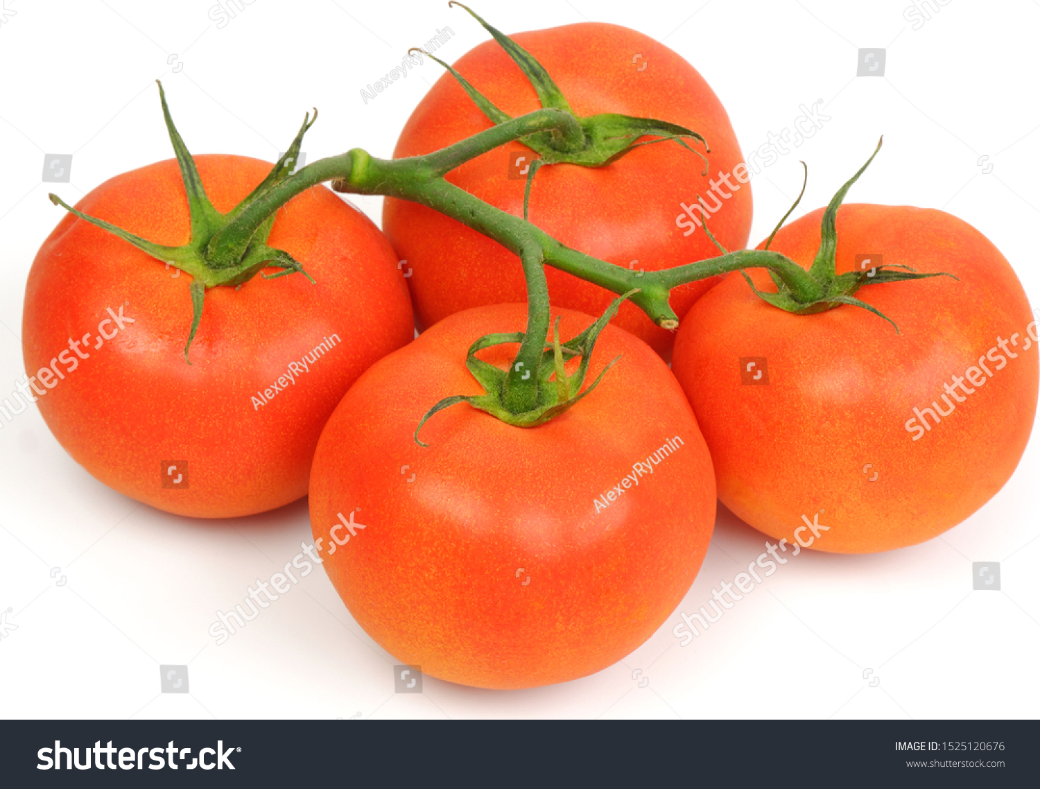 Four fresh juicy red bunch tomatoes on white background top view