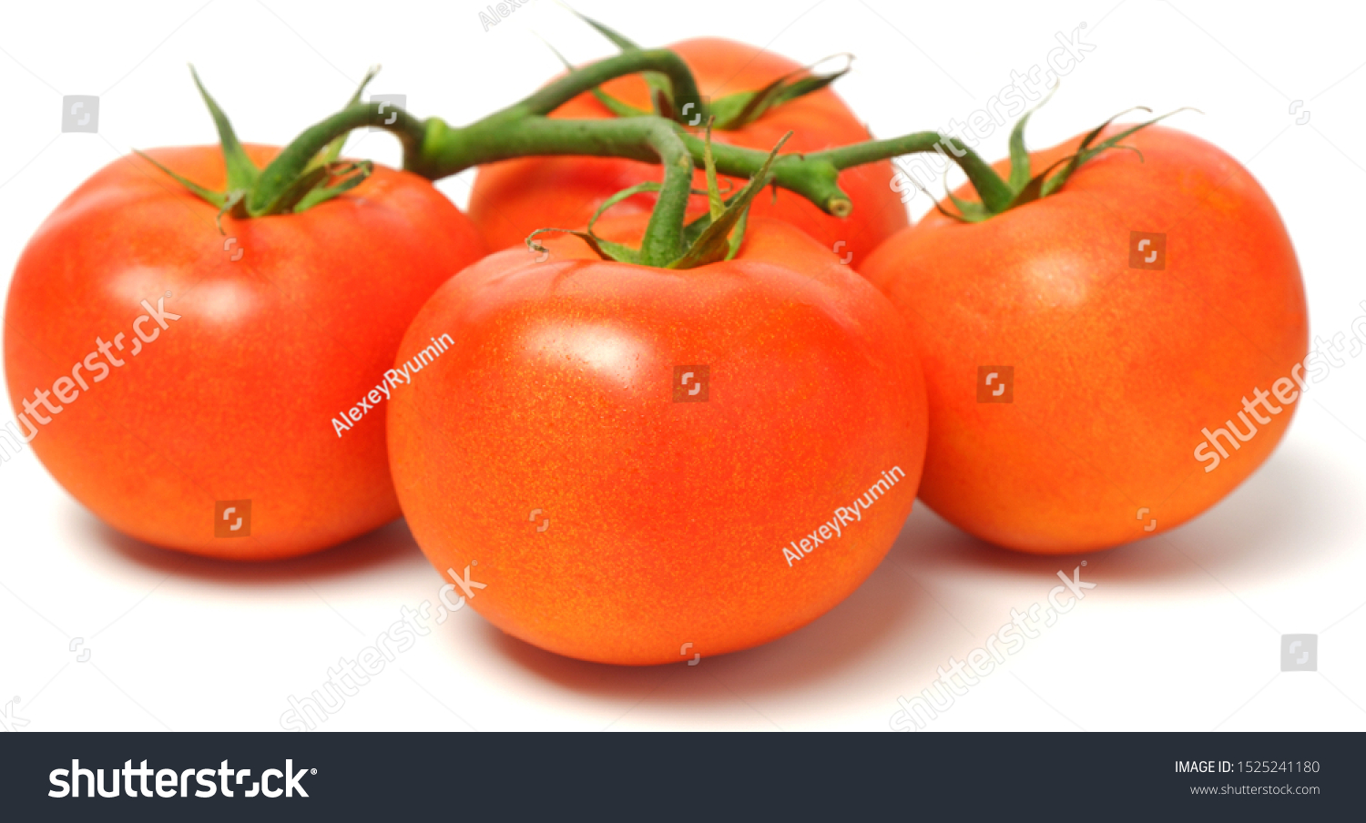 Four fresh juicy red bunch tomatoes on white background