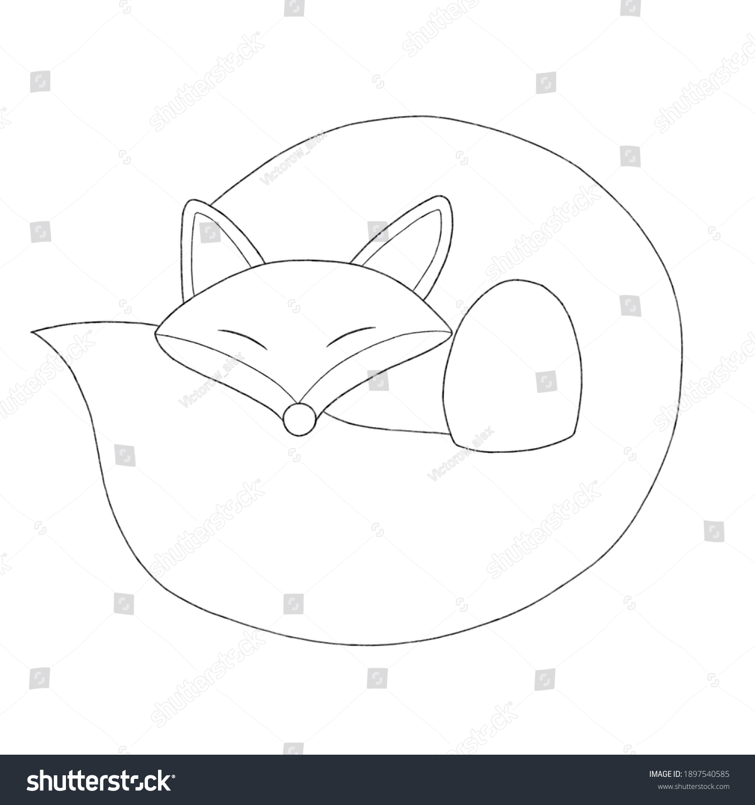 Fox Curled Ball Coloring Line Simple Stock Illustration 1897540585 ...