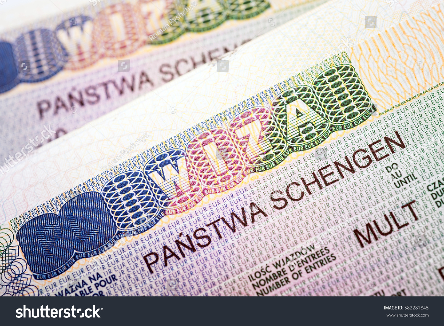 What is Multivisa What is Multivisa