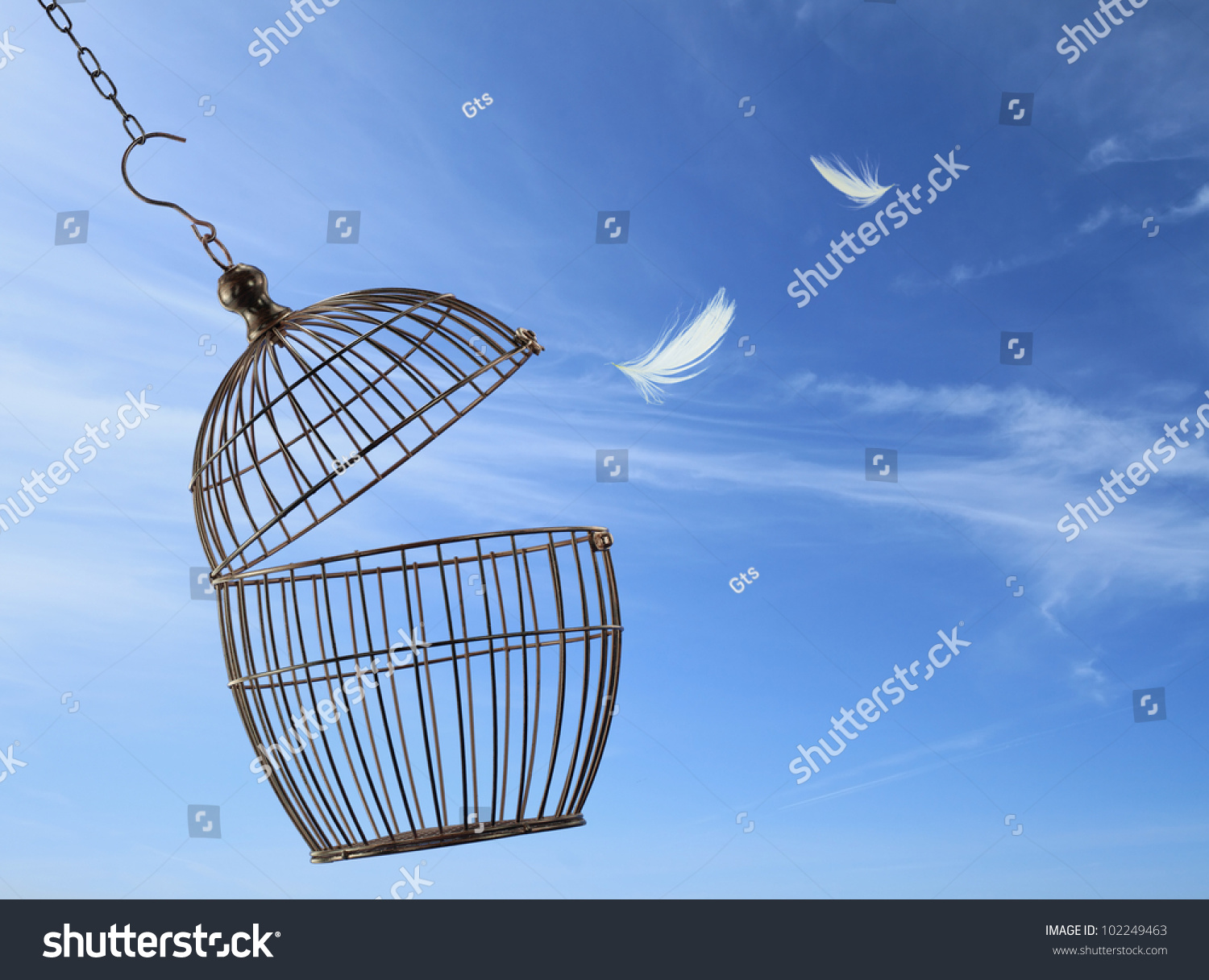 Freedom Concept. Escaping From The Cage Stock Photo 102249463 ...