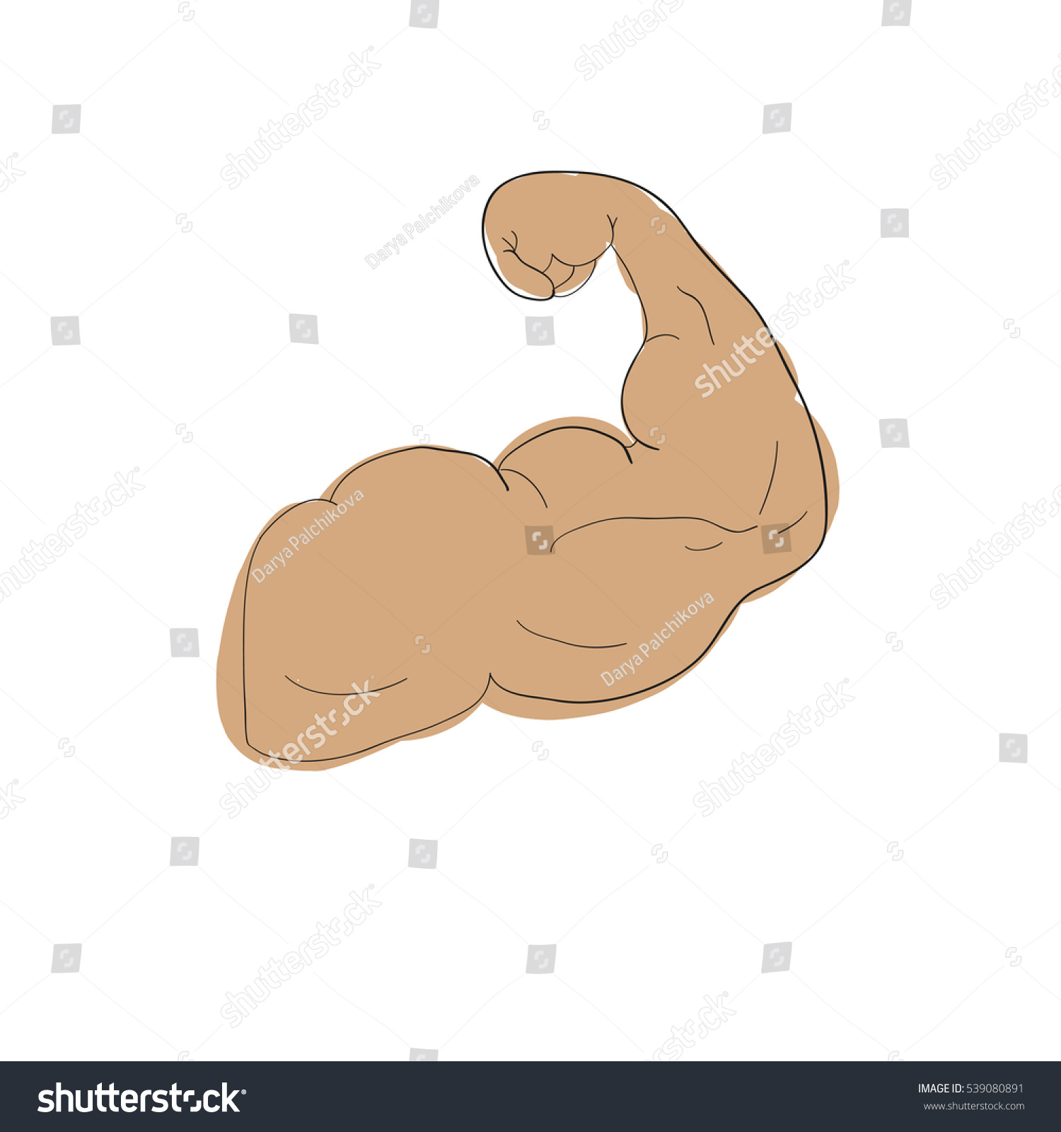 Freehand Cartoon Strong Arm Flexing Bicep Stock Illustration 539080891 Shutterstock 8776