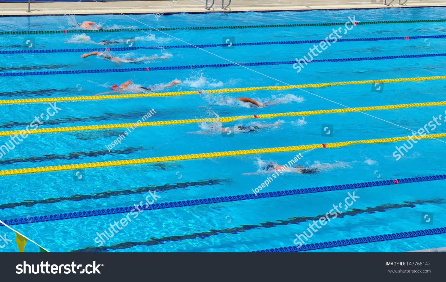 Freestyle Swimming Race Swimmers Racing Pool Stock Photo (Edit Now ...