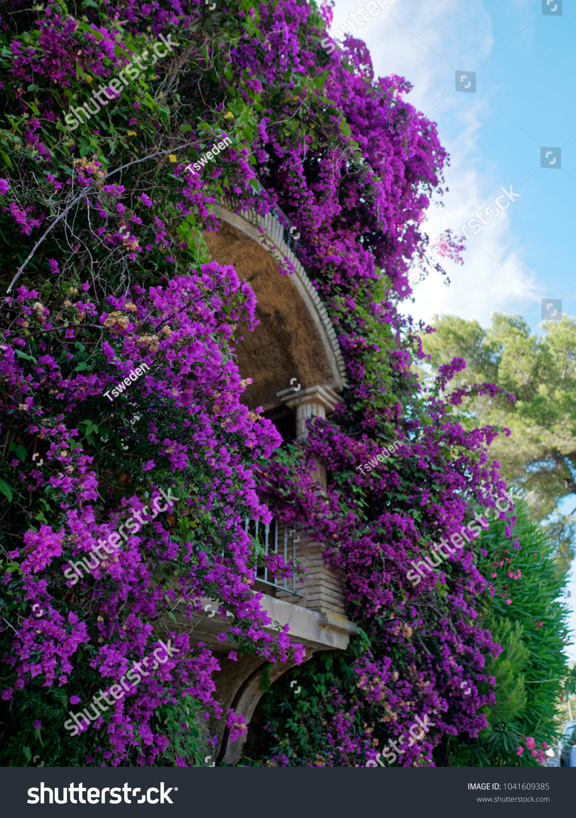 prieel Machu Picchu Waardig French Riviera Flowers Stock Photo (Edit Now) 1041609385
