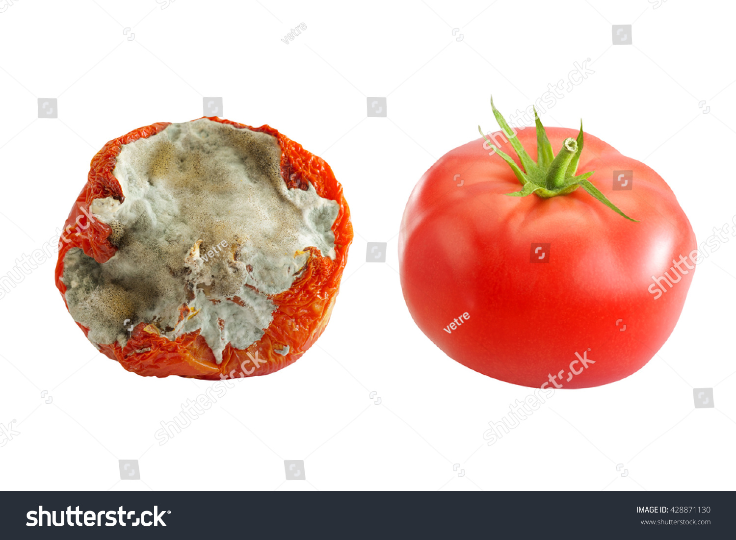 Fresh Rotten Tomatoes Isolated On White Stock Photo Edit Now 428871130