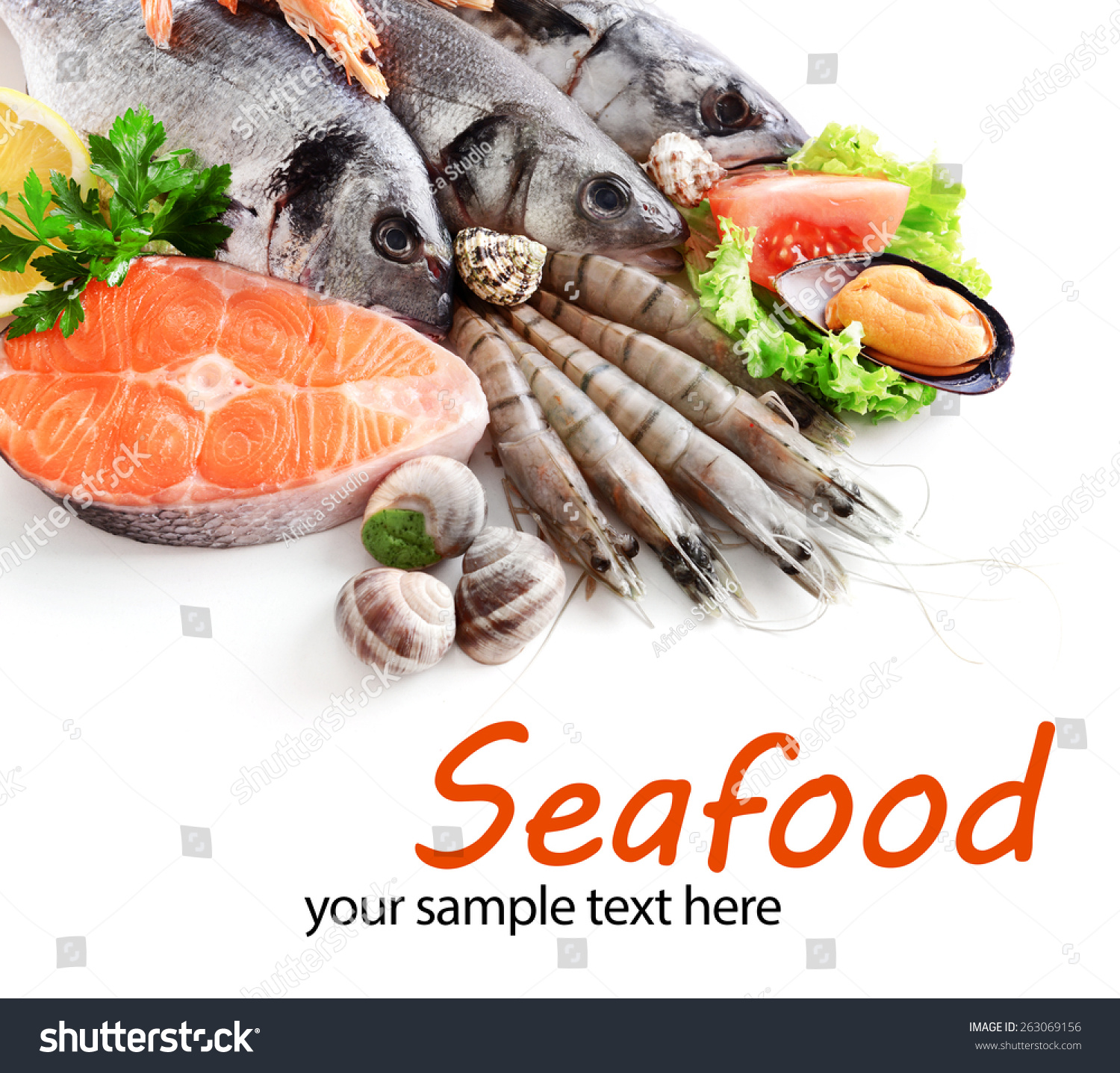 Fresh Catch Fish Other Seafood Closeup Stock Photo 263069156 Shutterstock