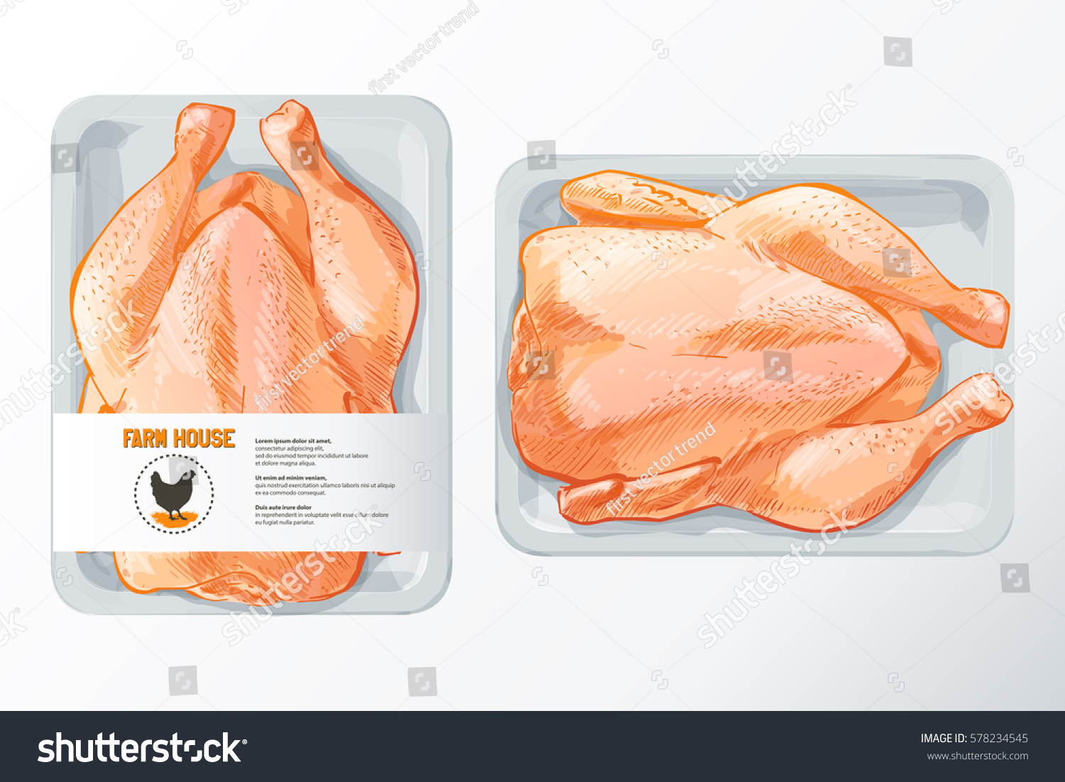 Download Fresh Chicken Meat White Polystyrene Packaging Stock Illustration 578234545