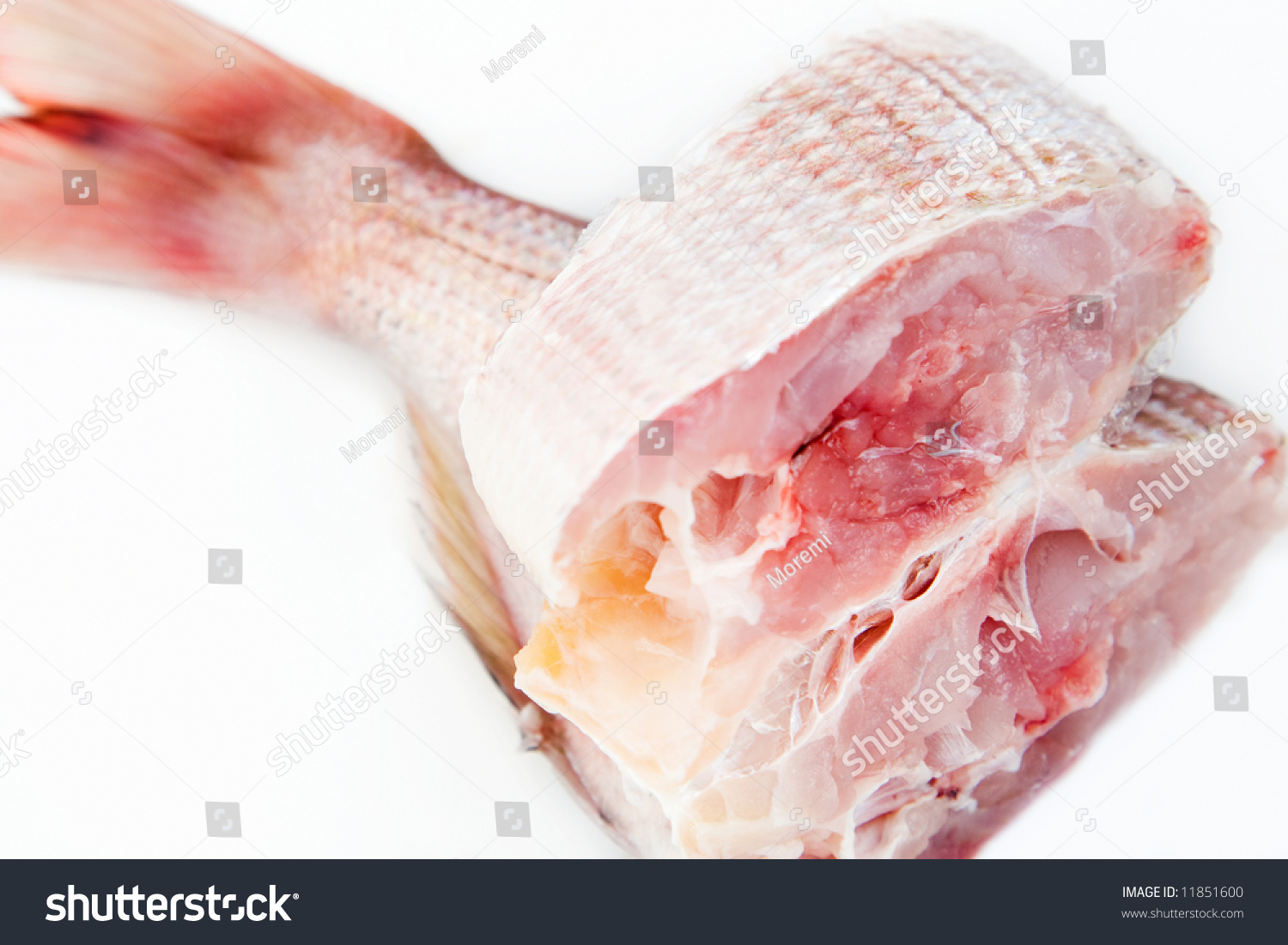 Fresh Fish Stock Photo 11851600 - Shutterstock