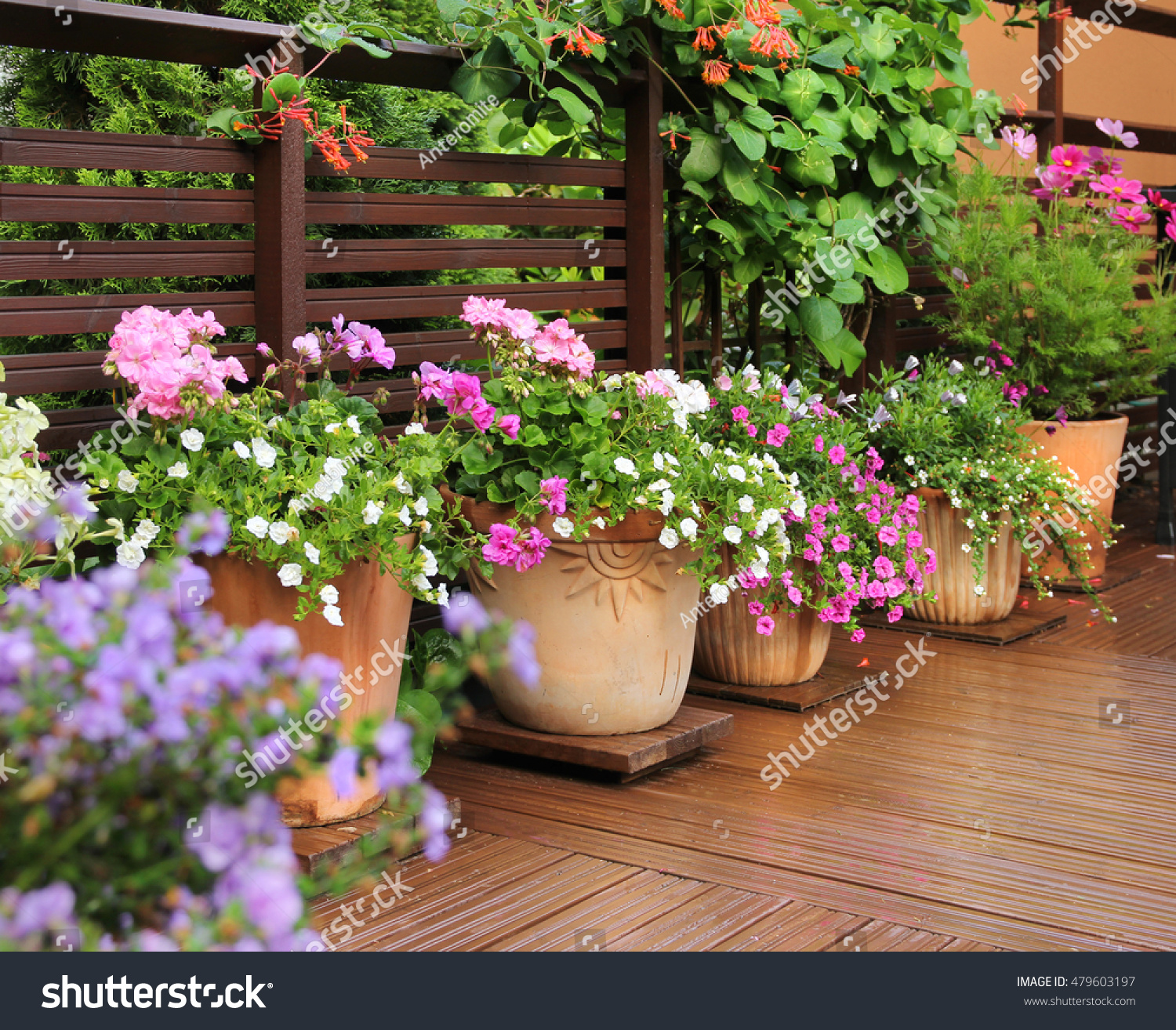 53 250 Clay Flower Pot Images Stock Photos Vectors Shutterstock   Stock Photo Fresh Flowers In Clay Pots On Wooden Summer Terrace 479603197 