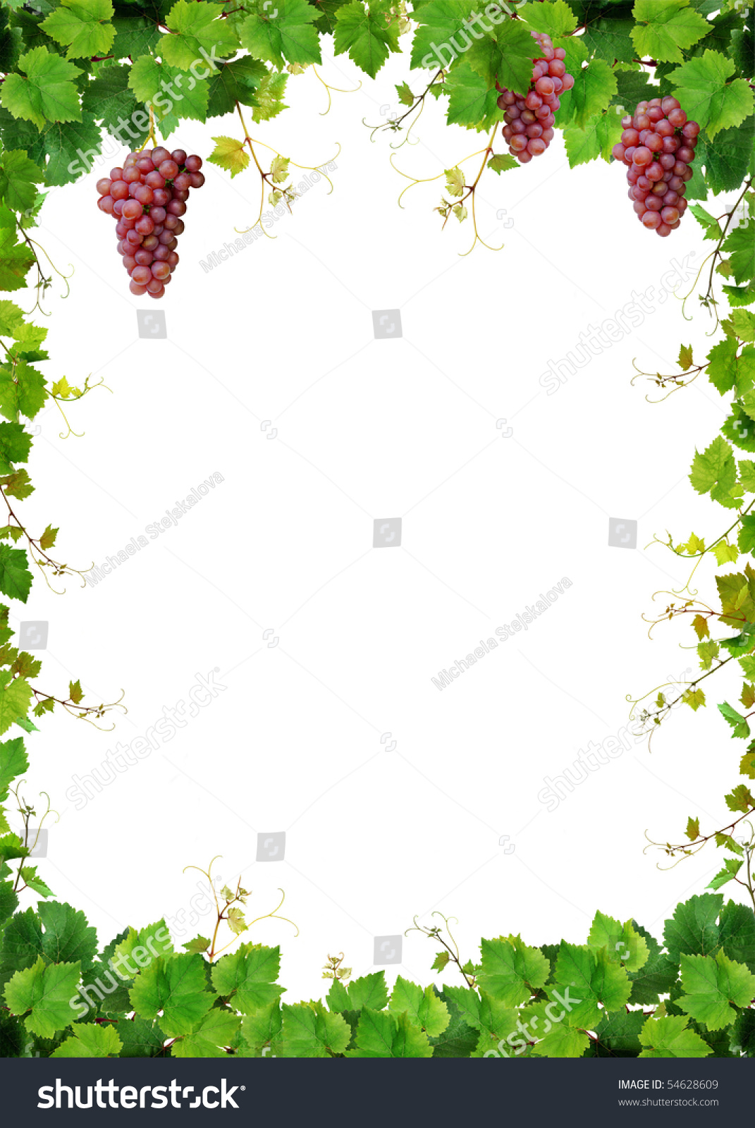 Fresh Grapevine Frame Pink Grapes Isolated Stock Photo 54628609 ...