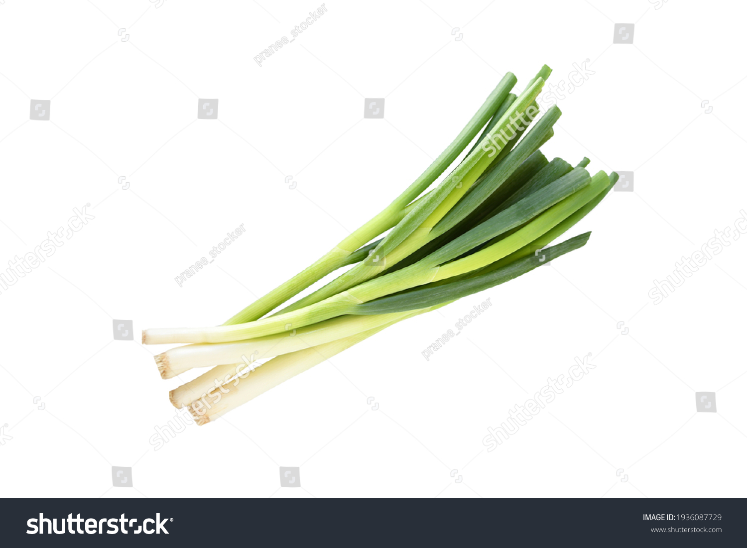 1,351,707 Oignon vert Images, Stock Photos & Vectors | Shutterstock