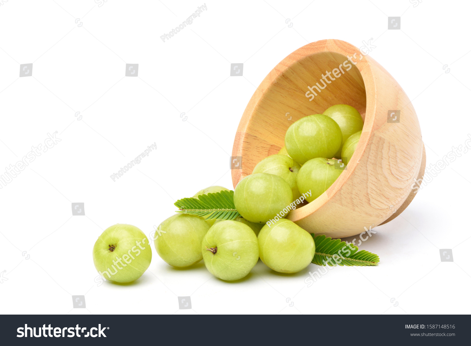 9 459 Indian Gooseberry Images Stock Photos Vectors Shutterstock   Stock Photo Fresh Indian Gooseberry Fruits In Wooden Bowl With Green Leaves On White Background 1587148516 