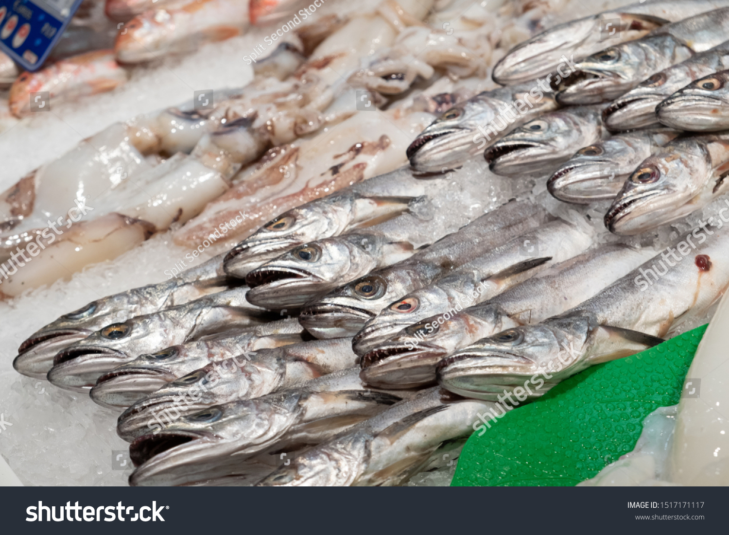 Fresh Merluza Fish On Market Valladolid Stock Photo Edit Now