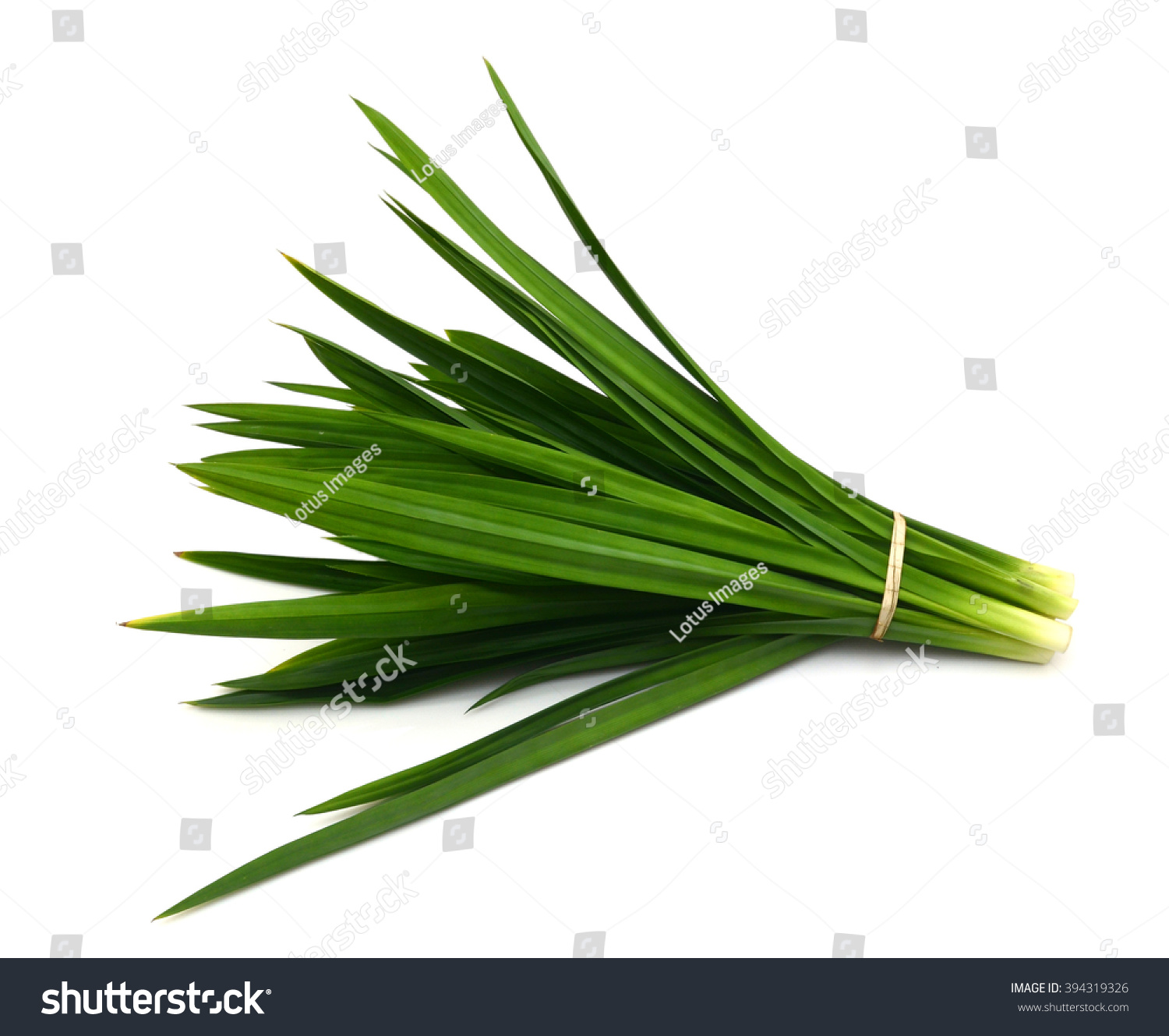 Fresh Pandan Leaves Isolated On White Stock Photo 394319326 | Shutterstock